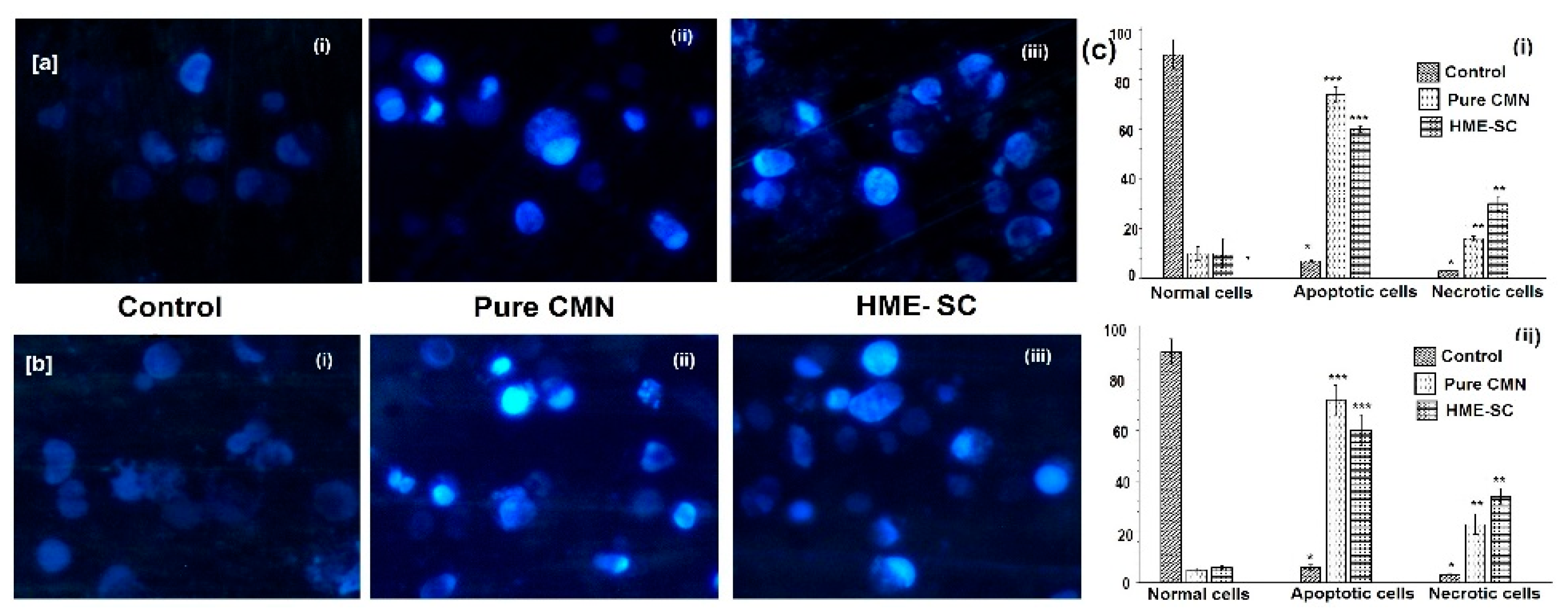Pharmaceuticals 14 00939 g009