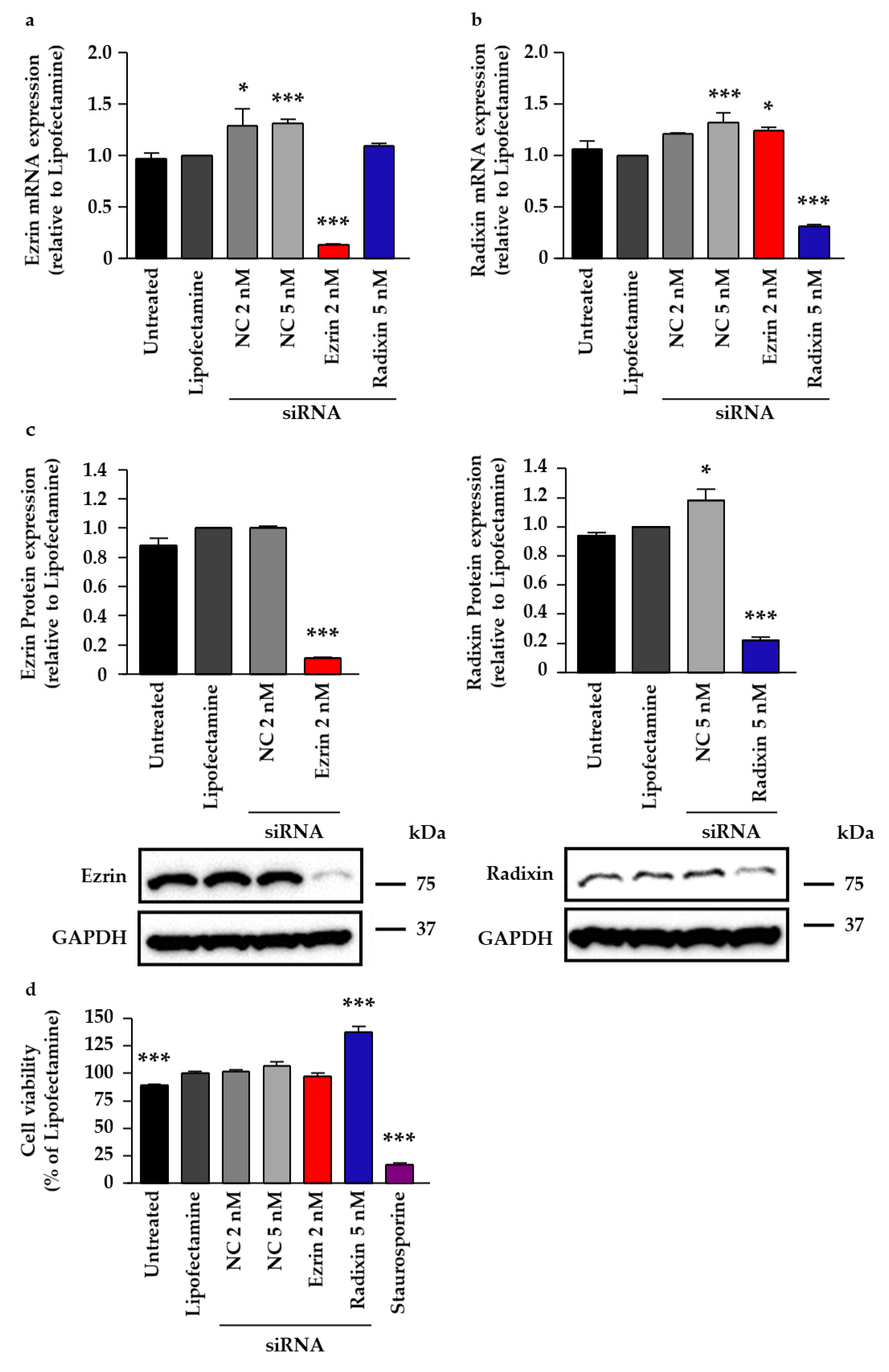 Pharmaceuticals 14 00963 g005