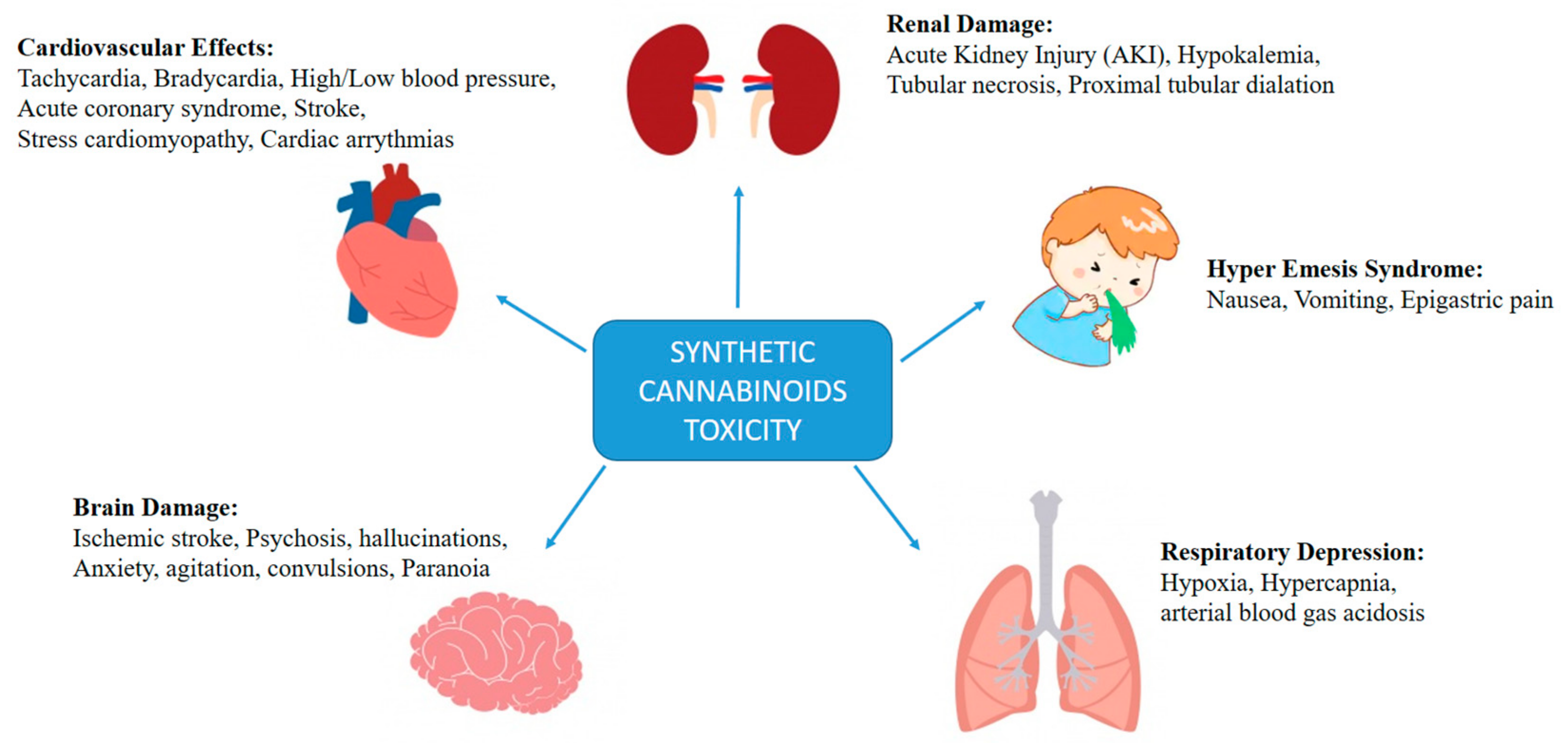 Pharmaceuticals 14 00965 g003