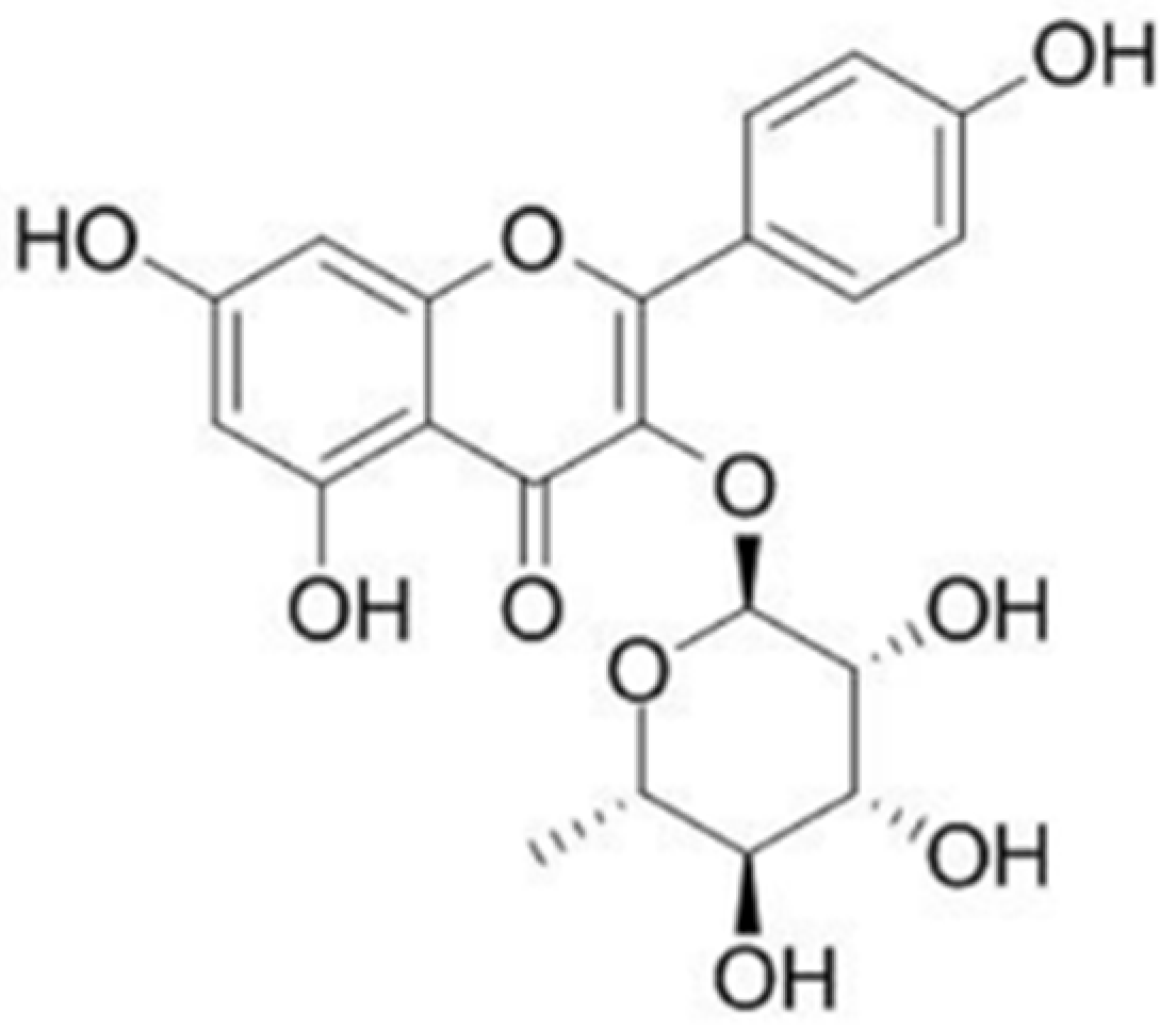 Pharmaceuticals 14 00973 g001