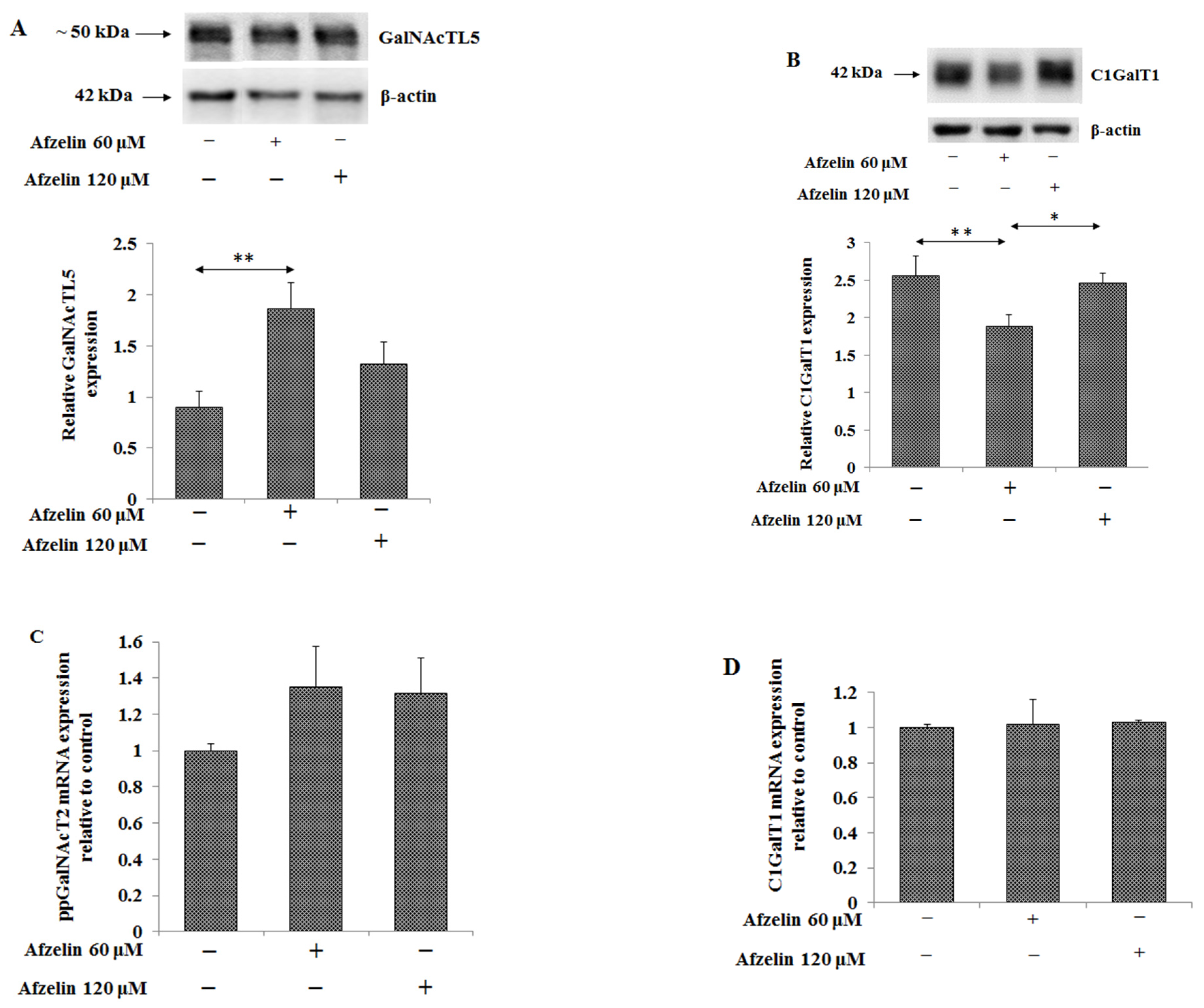 Pharmaceuticals 14 00973 g007