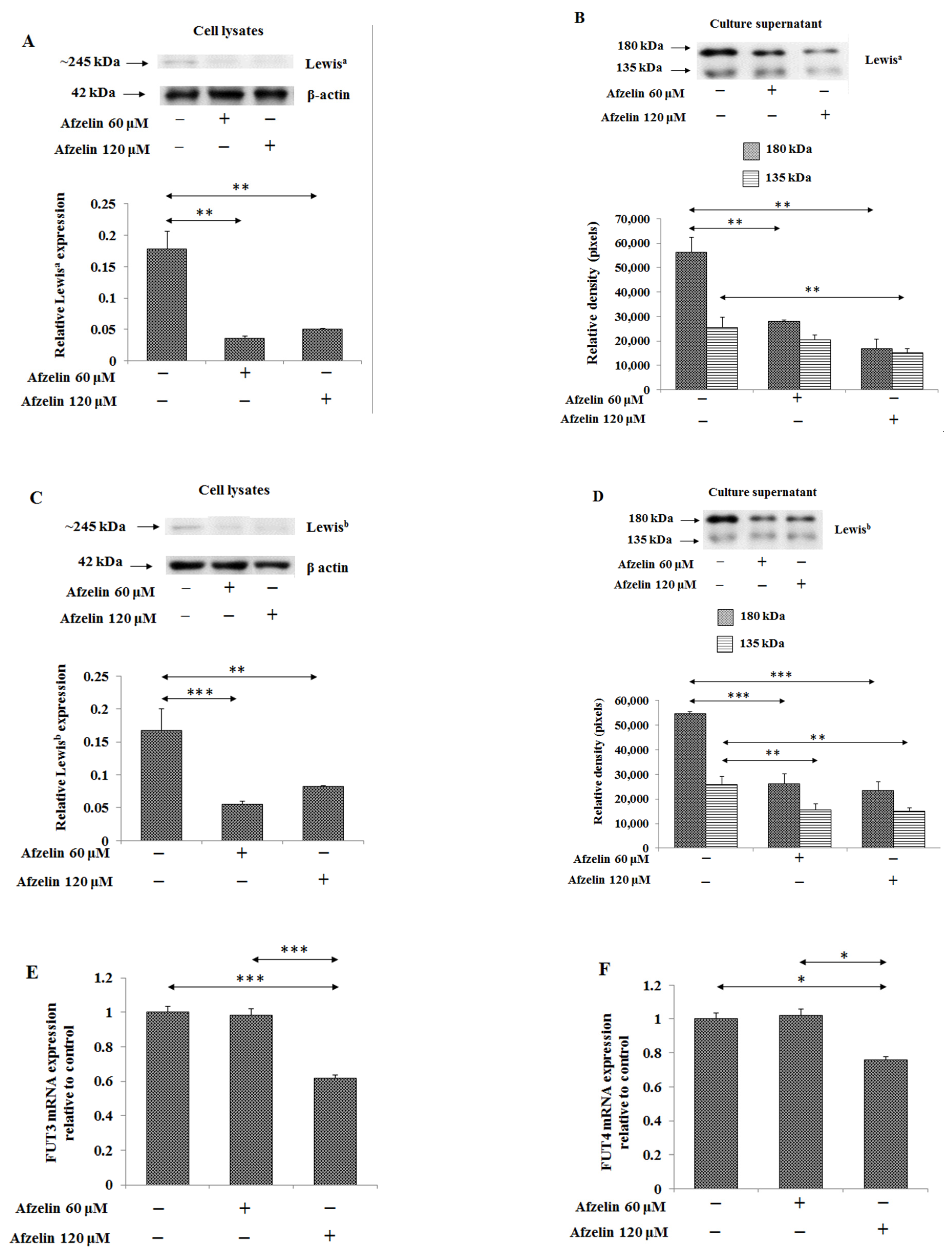 Pharmaceuticals 14 00973 g009