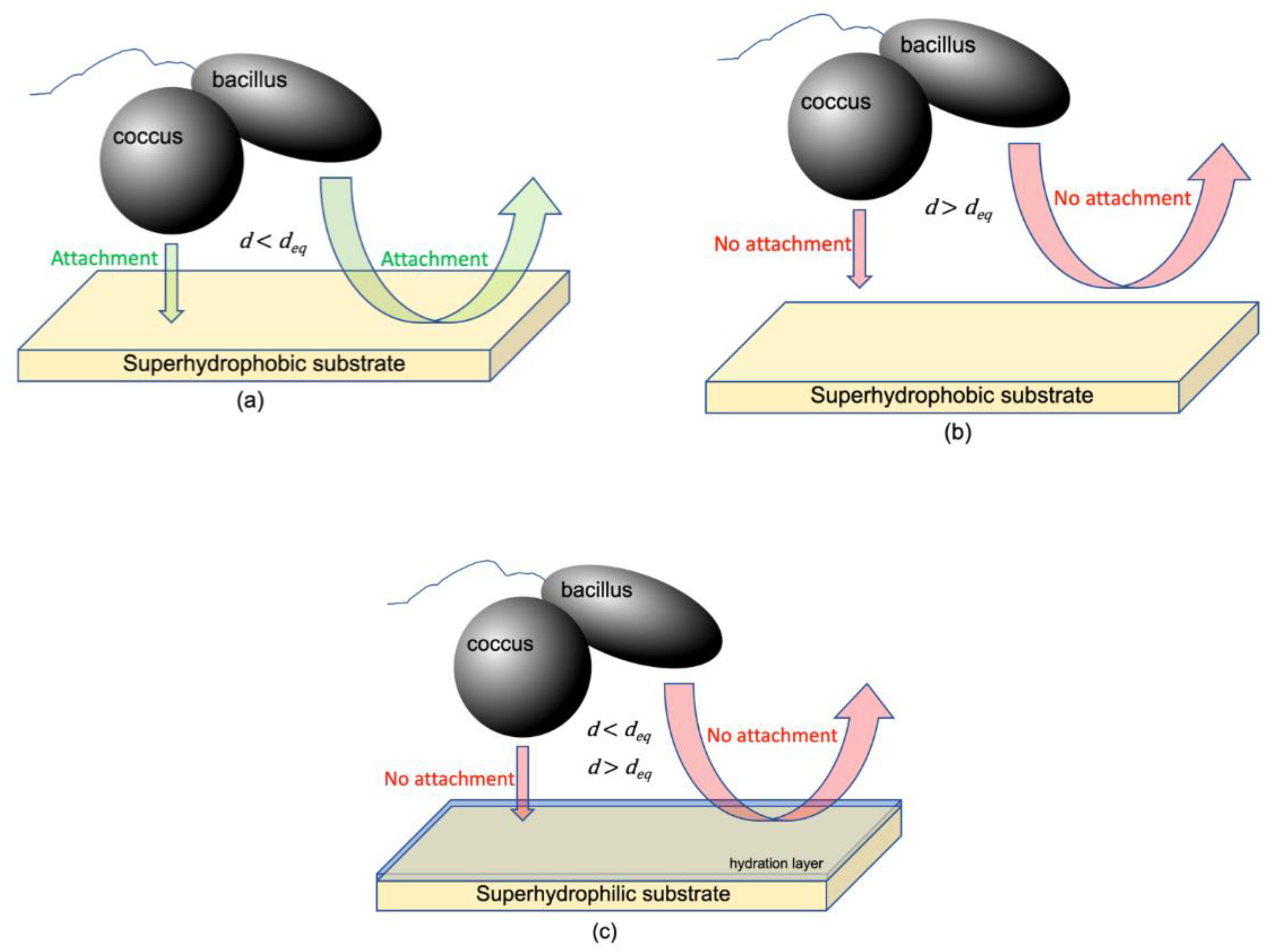 Pharmaceuticals 14 00977 g006