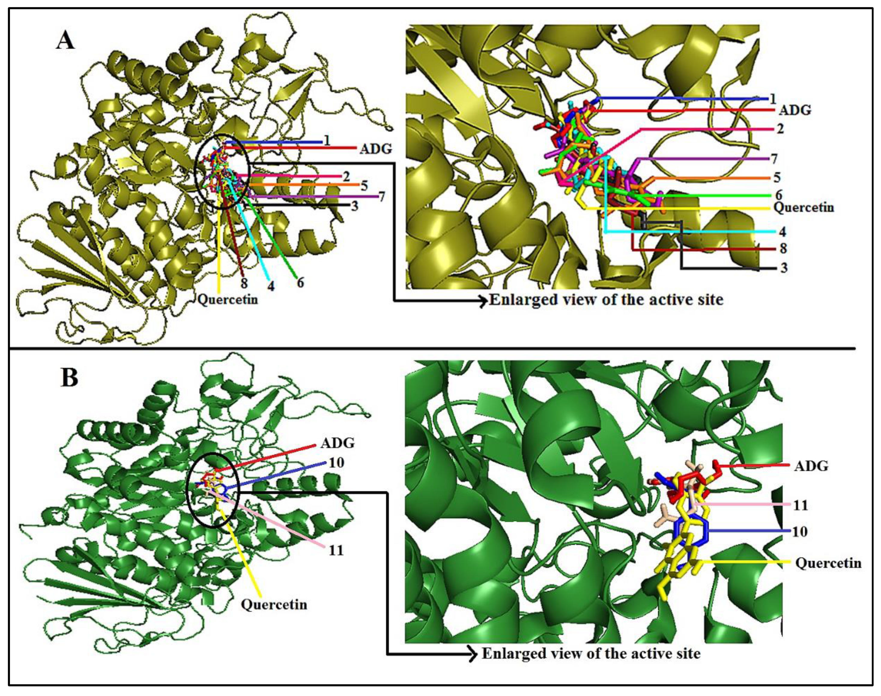 Pharmaceuticals 14 00978 g009