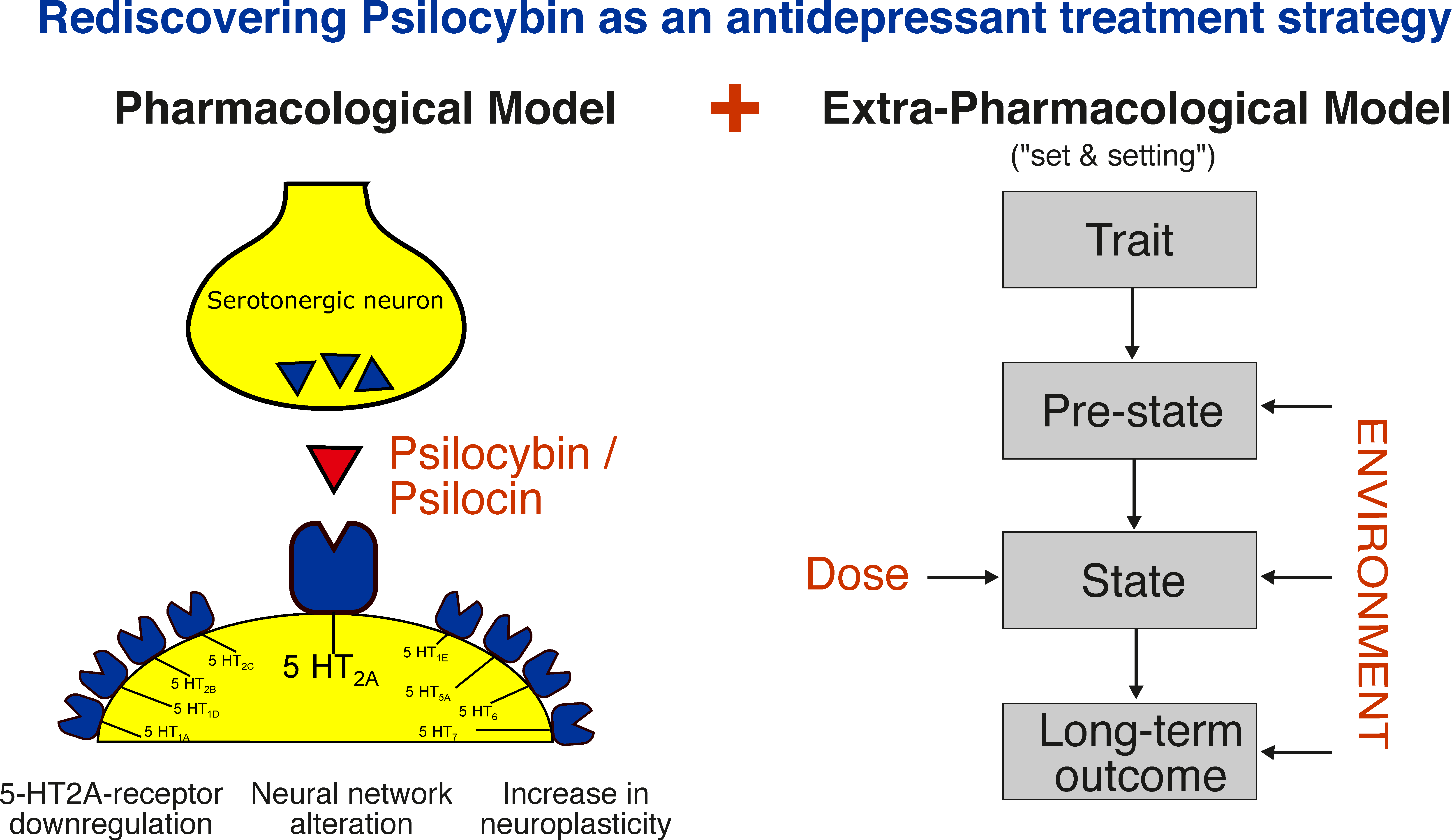 Pharmaceuticals 14 00985 g001