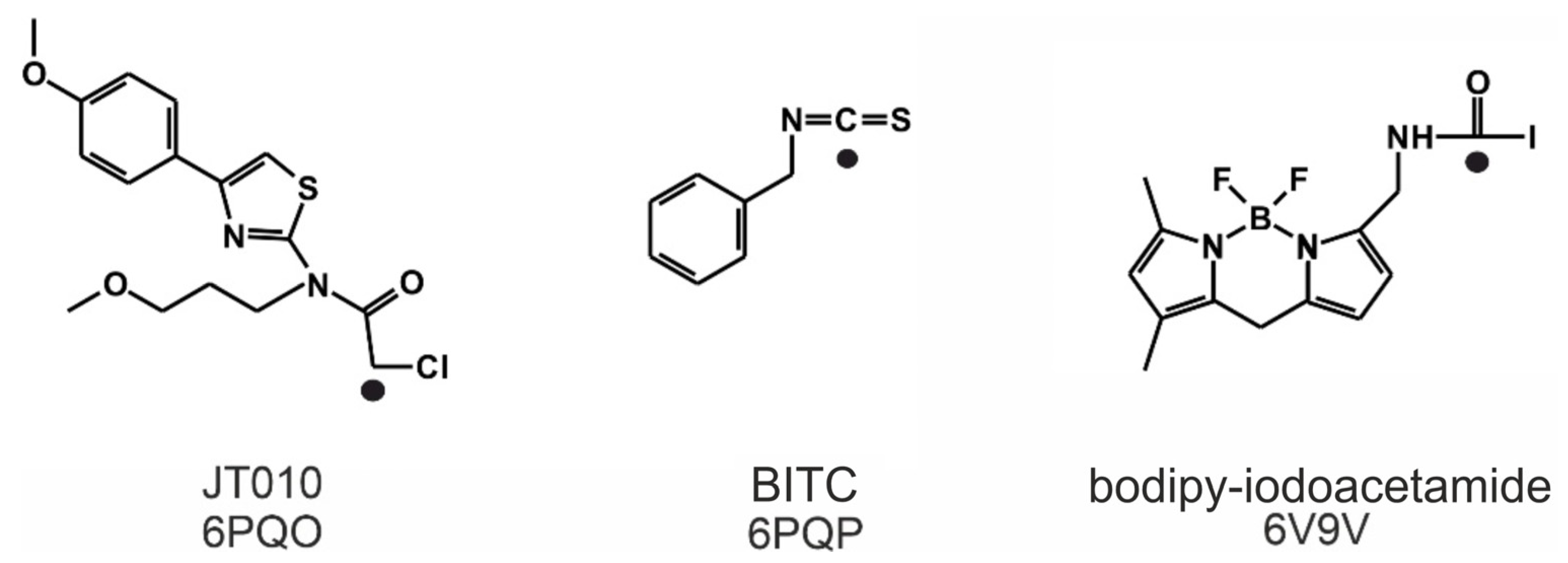 Pharmaceuticals 14 00988 g001