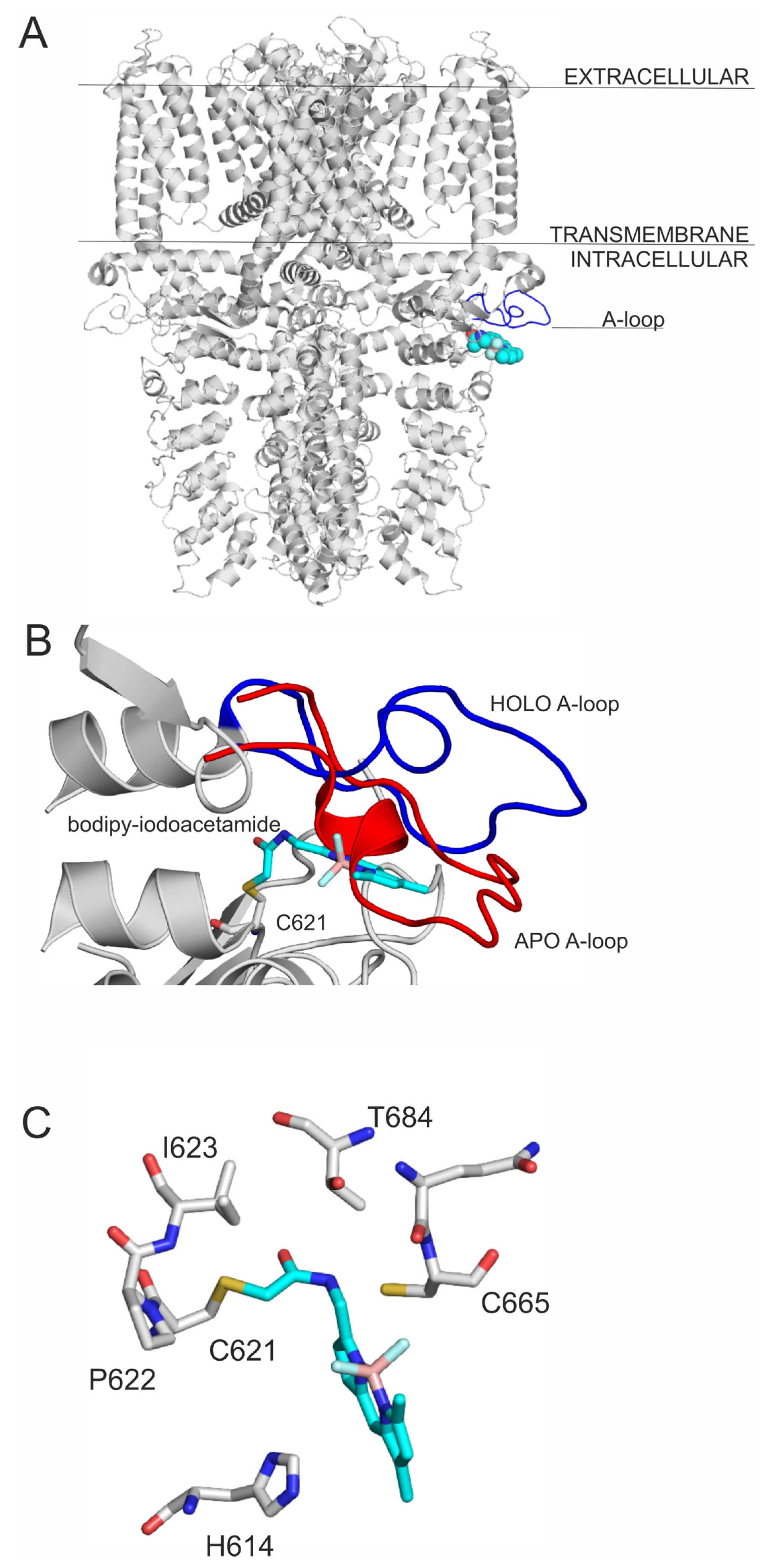 Pharmaceuticals 14 00988 g002