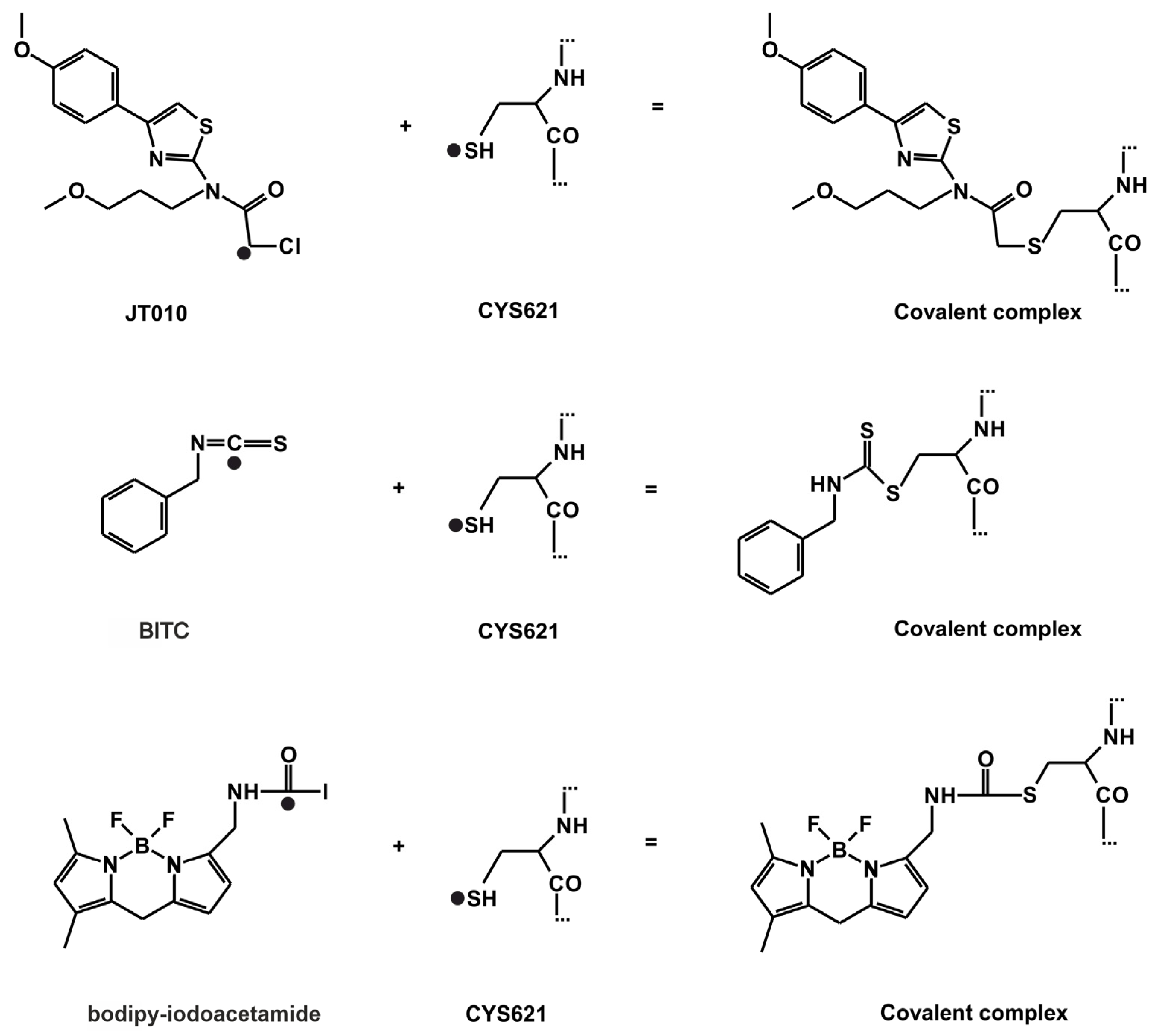 Pharmaceuticals 14 00988 g003
