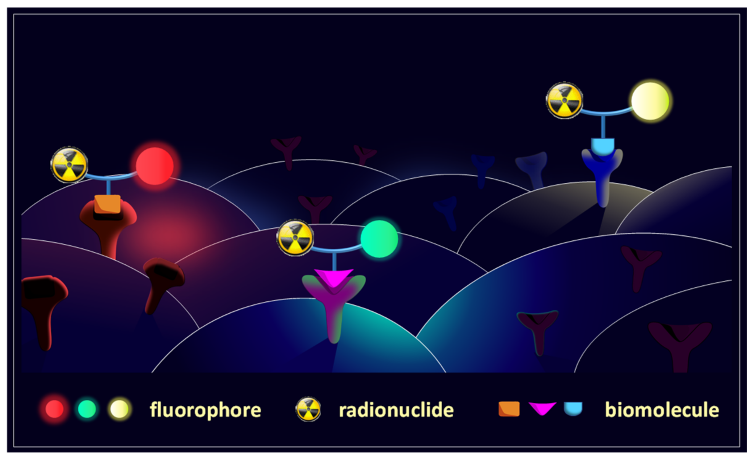 Pharmaceuticals 14 00989 g001