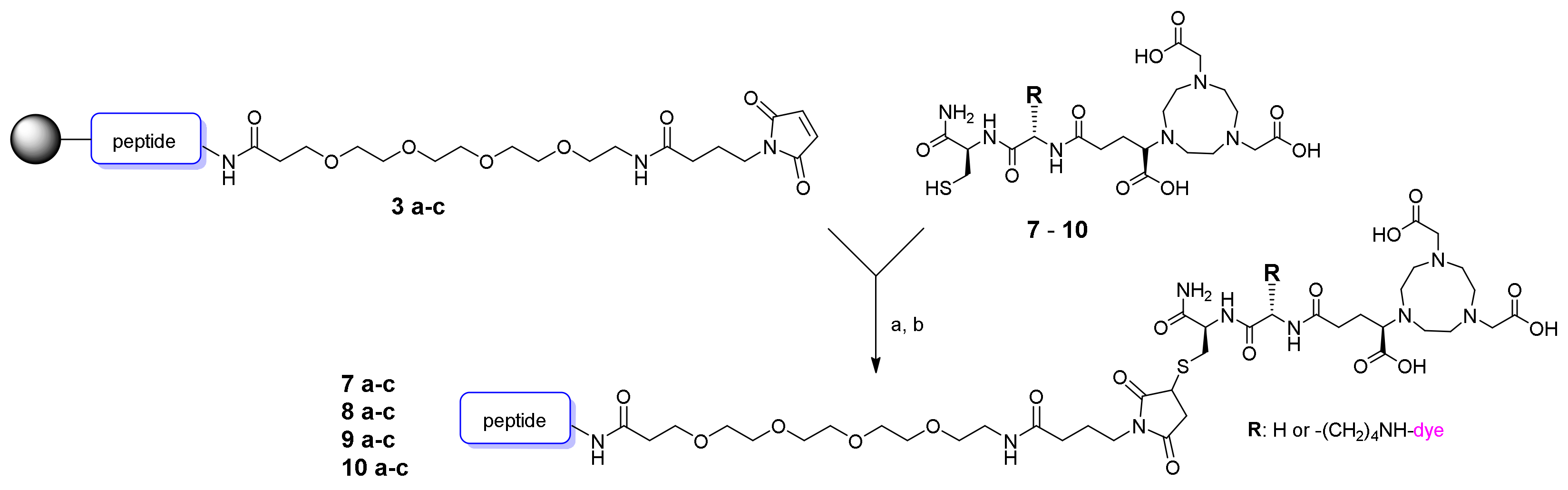 Pharmaceuticals 14 00989 sch003