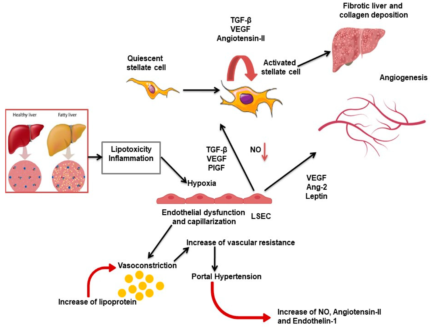 Pharmaceuticals 14 00995 g001