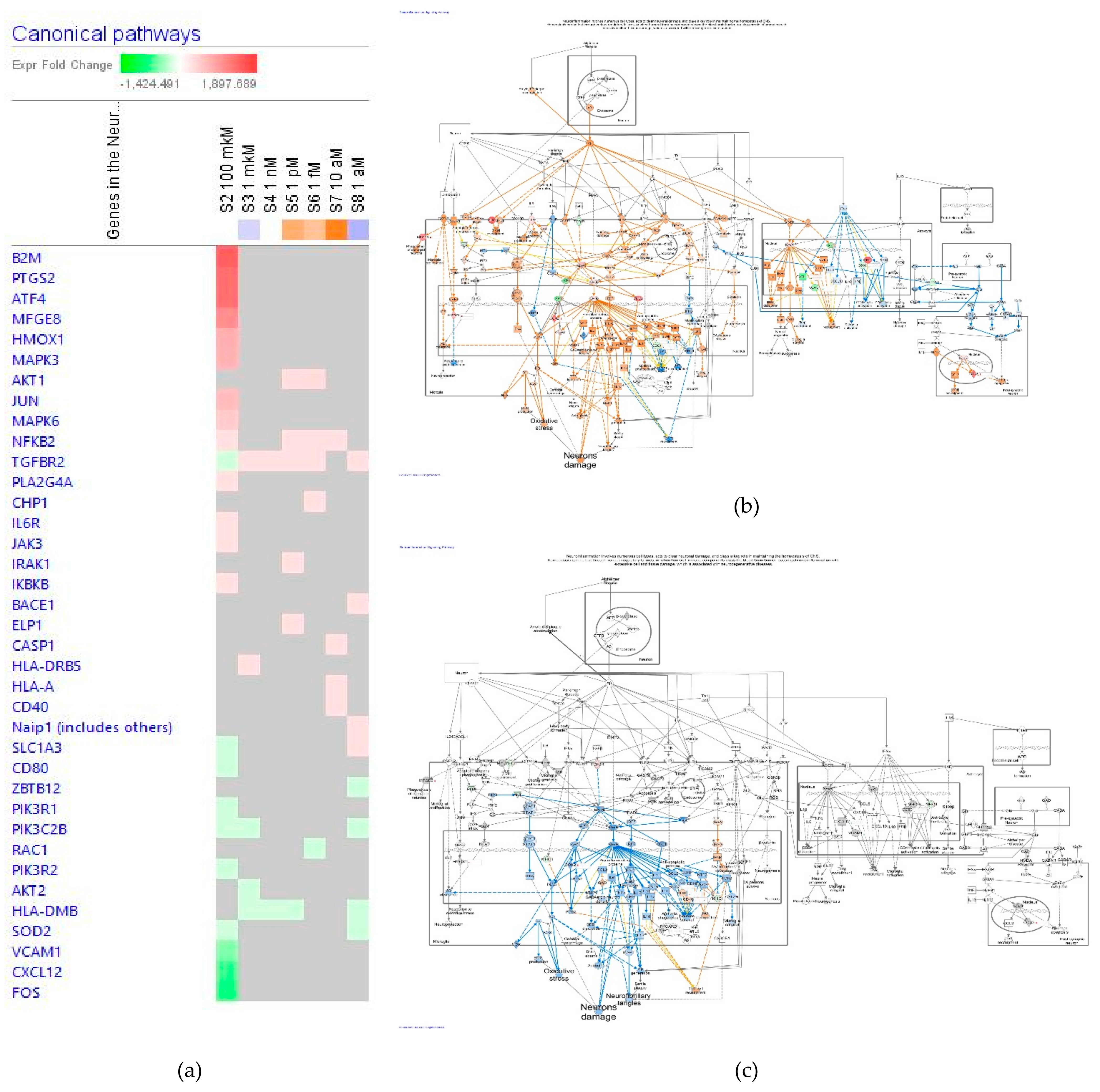 Pharmaceuticals 14 00999 g006