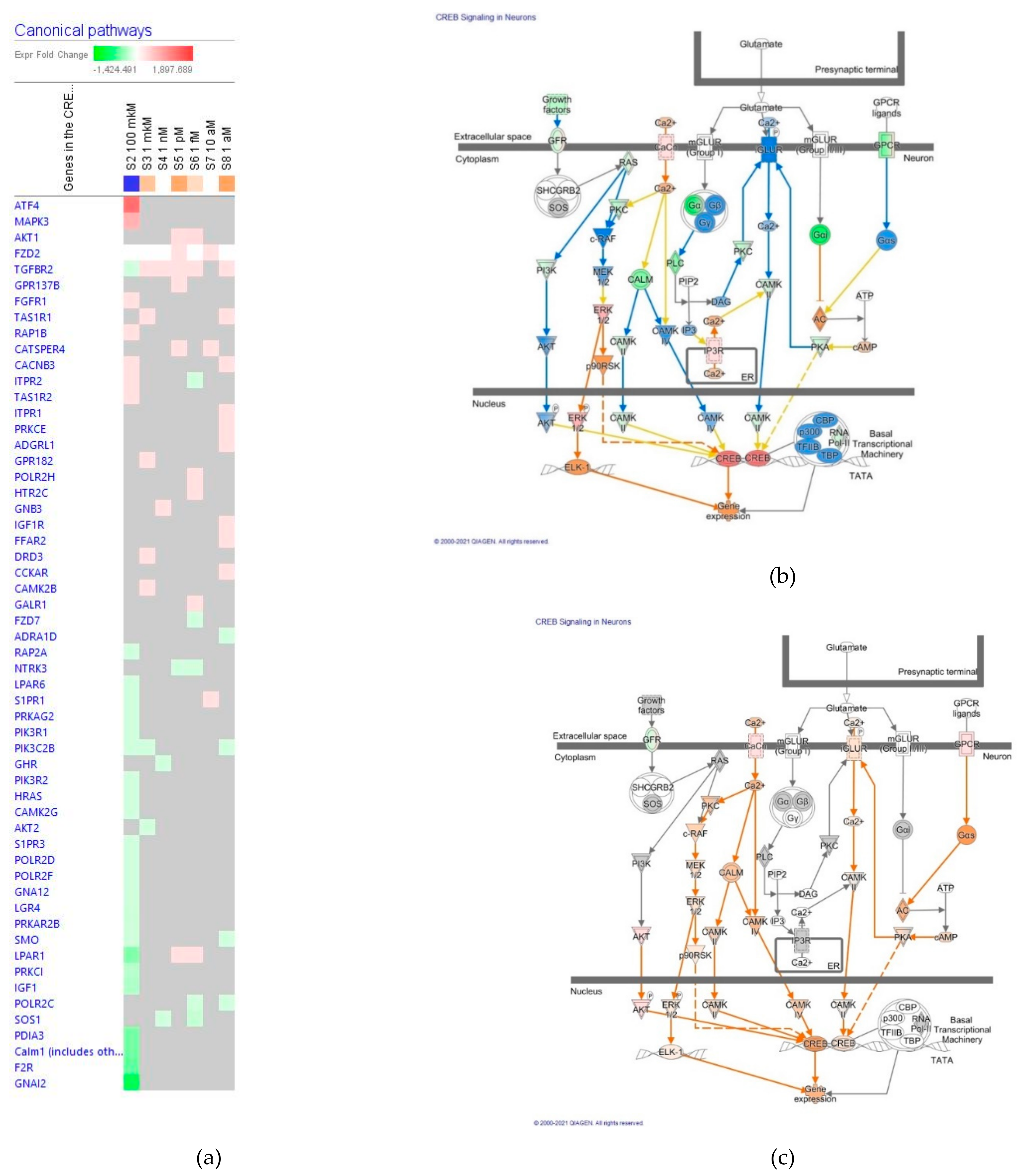 Pharmaceuticals 14 00999 g007