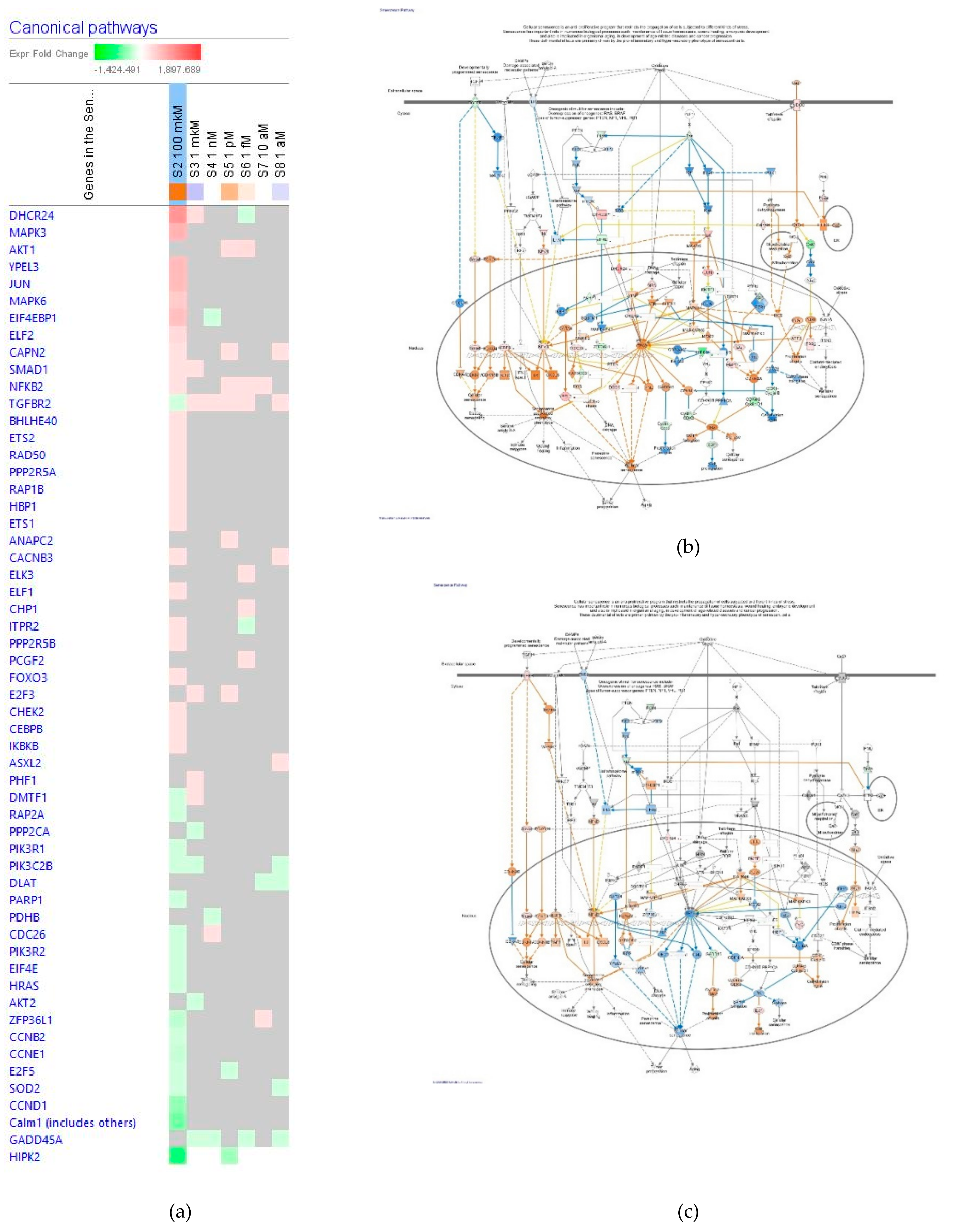 Pharmaceuticals 14 00999 g008