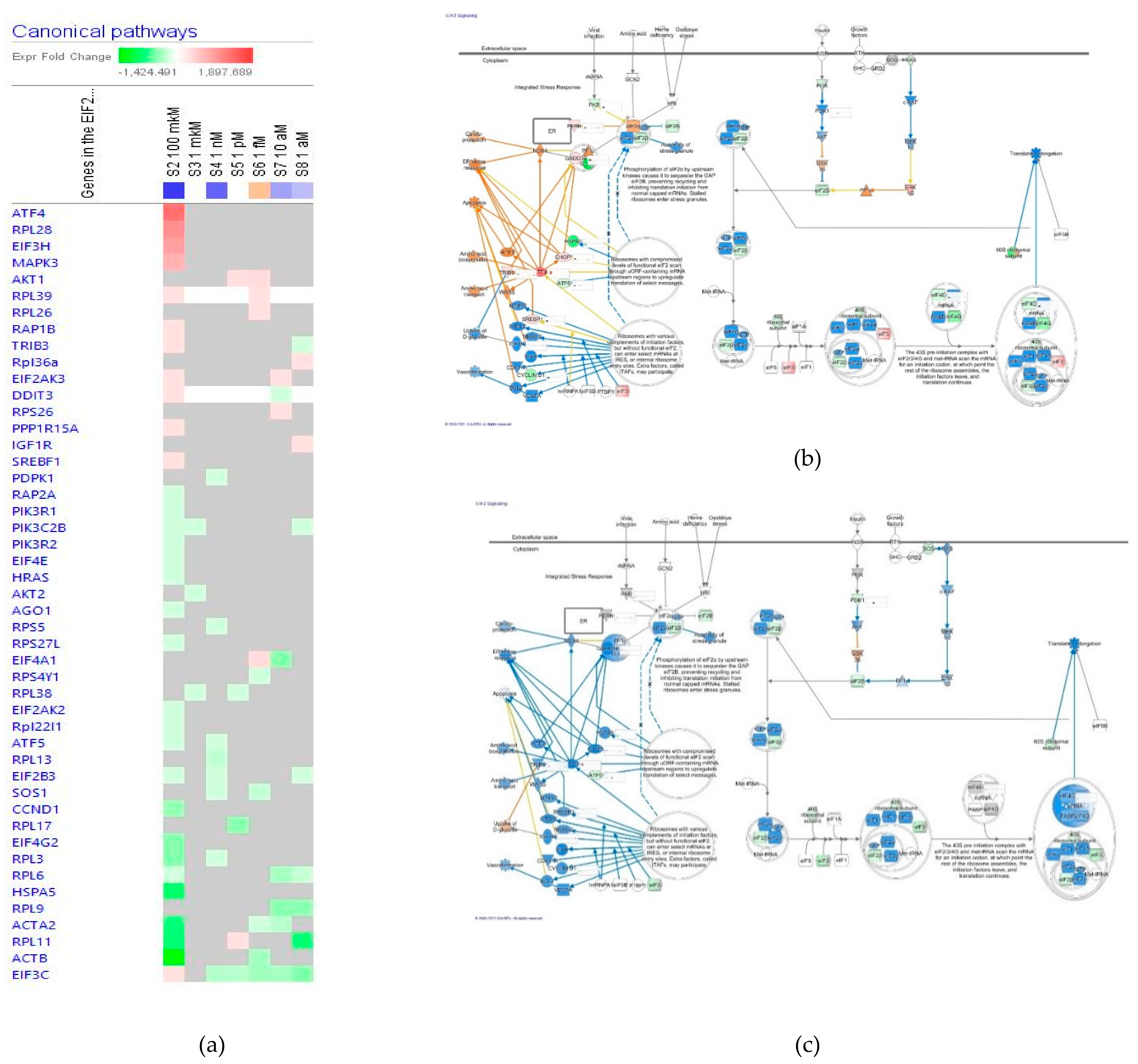 Pharmaceuticals 14 00999 g009
