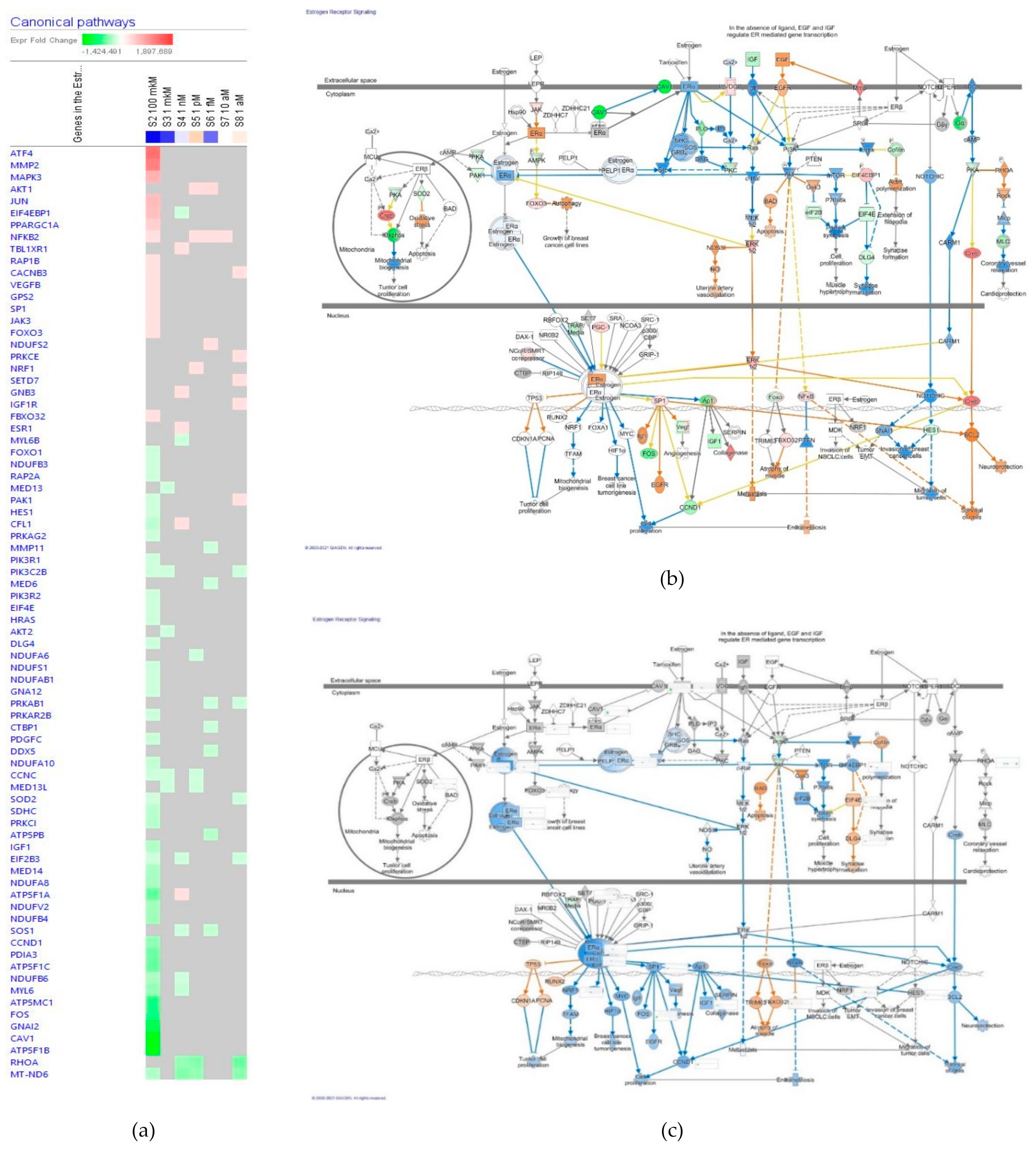 Pharmaceuticals 14 00999 g010