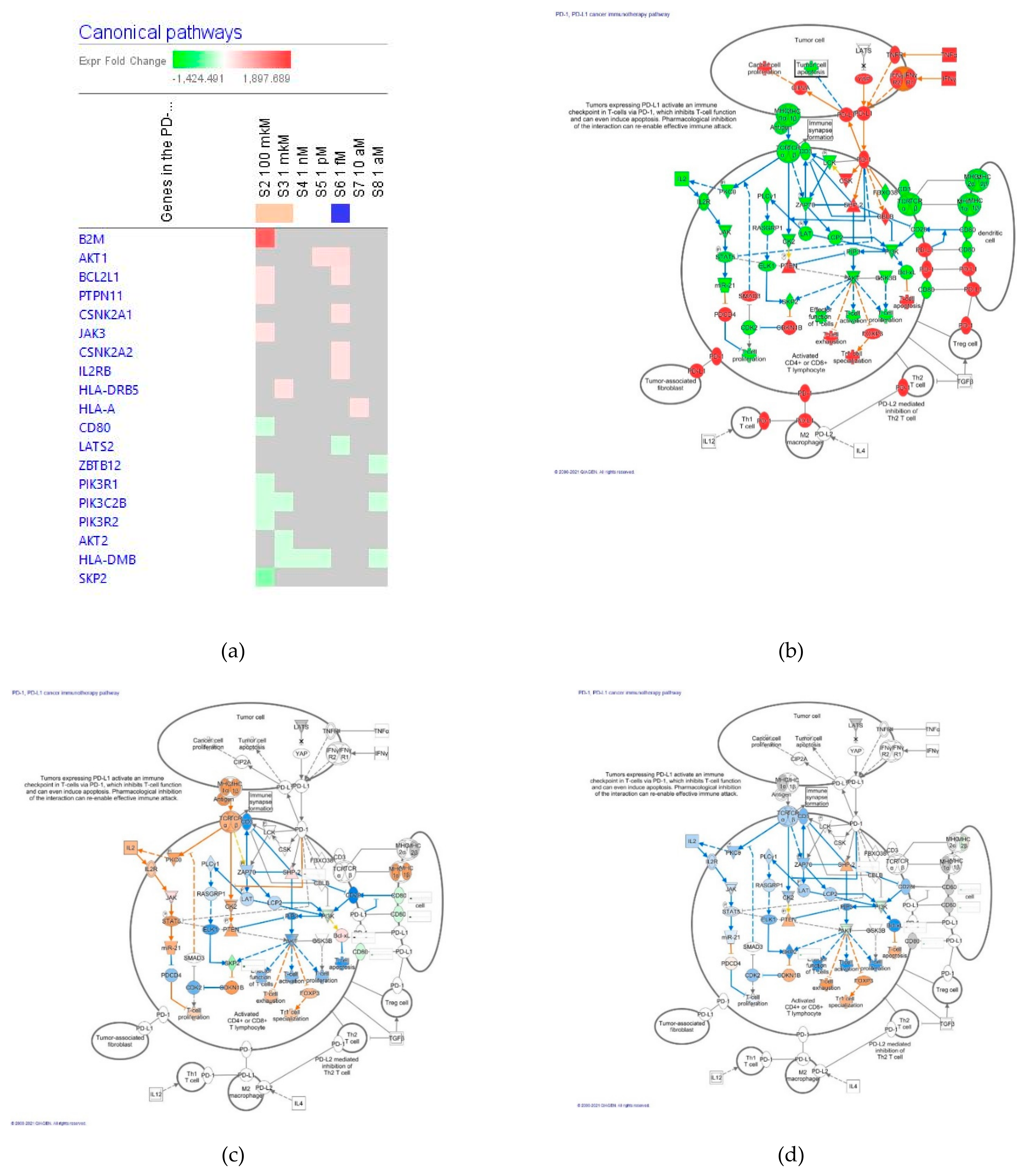 Pharmaceuticals 14 00999 g014