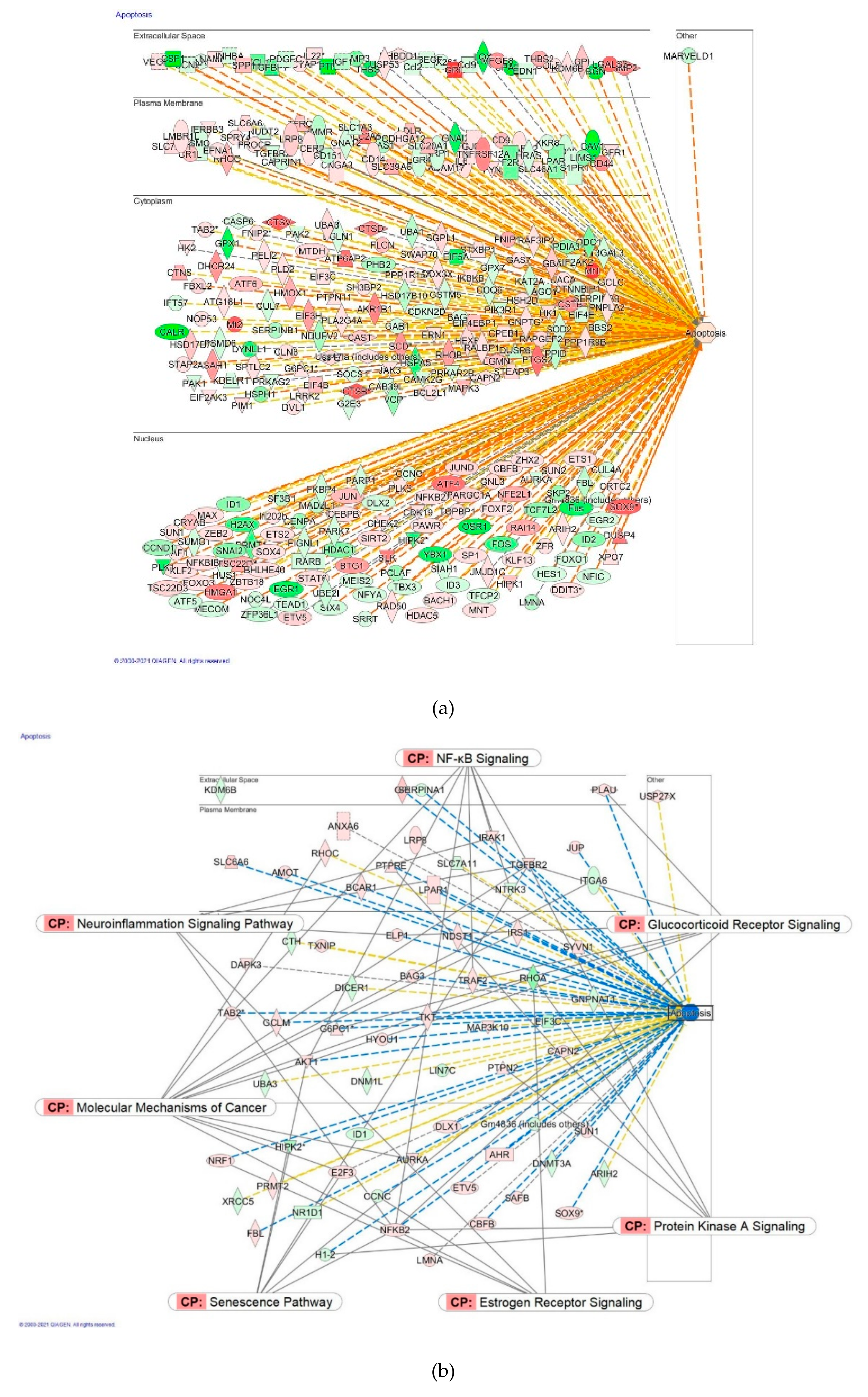Pharmaceuticals 14 00999 g018