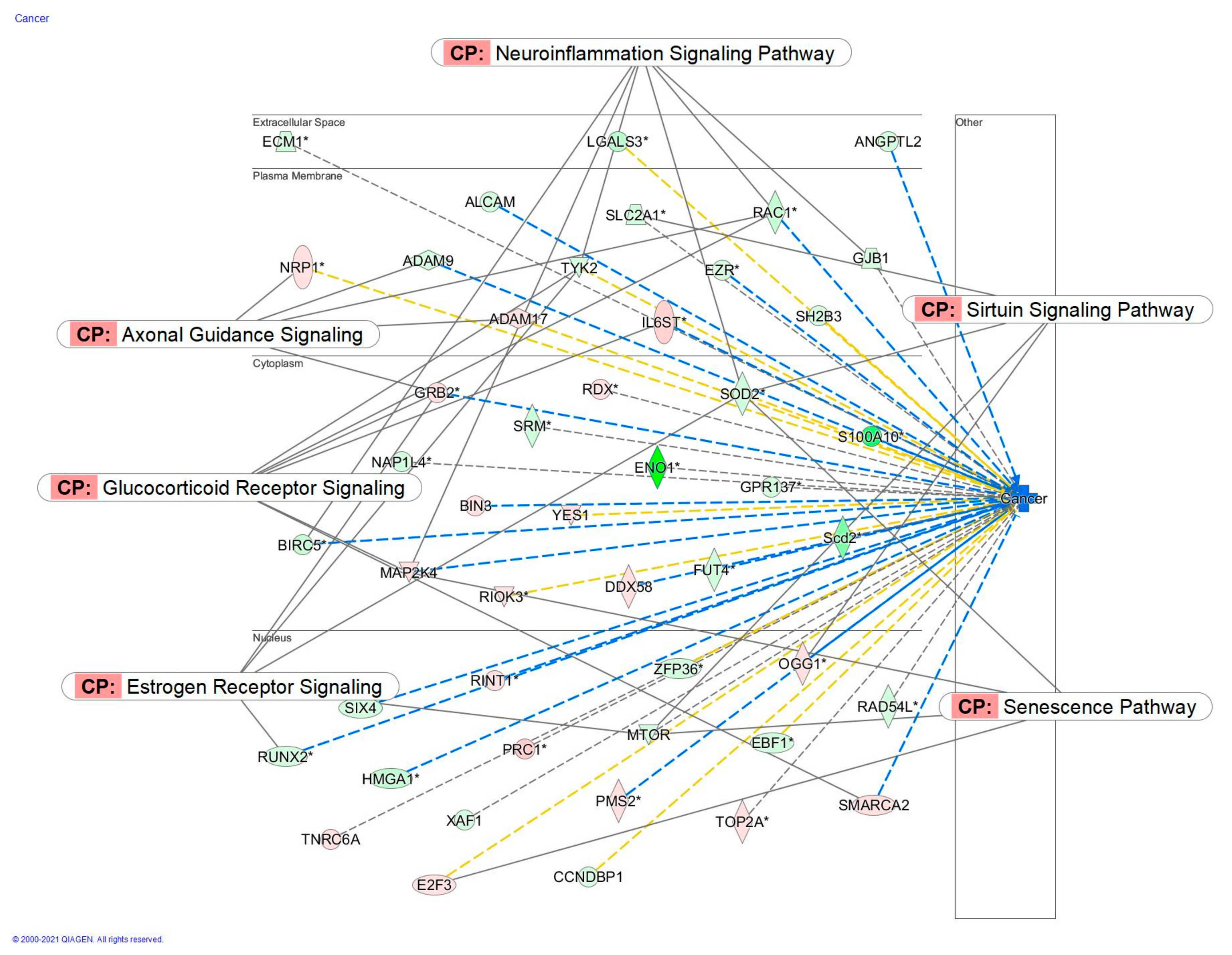Pharmaceuticals 14 00999 g022