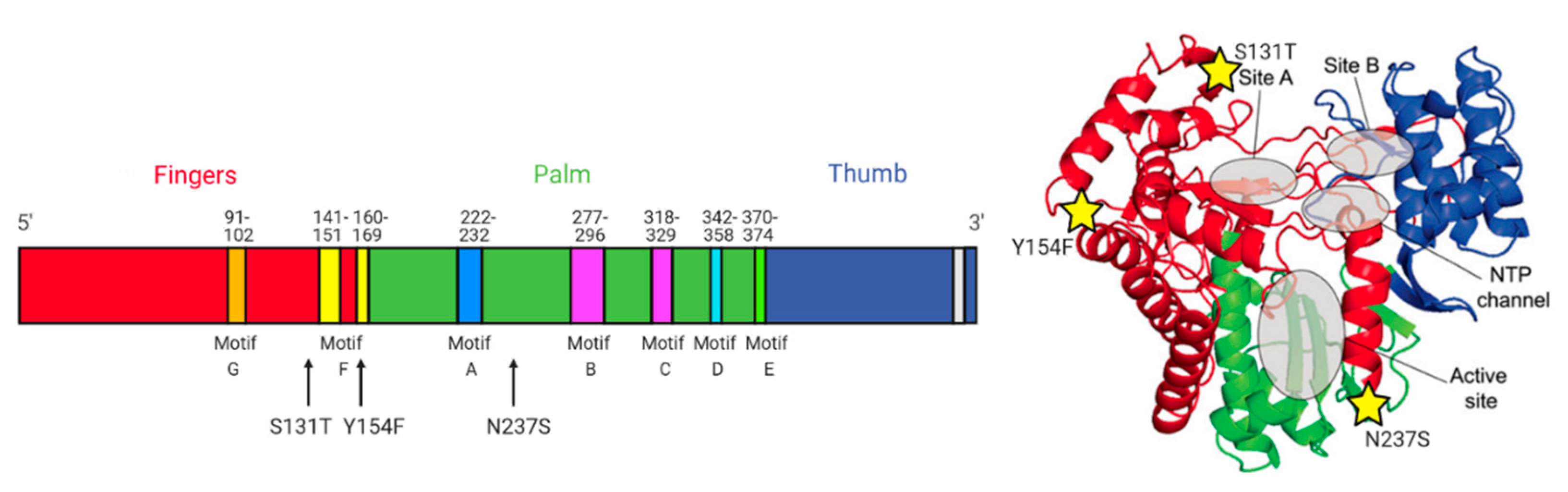 Pharmaceuticals 14 01006 g006