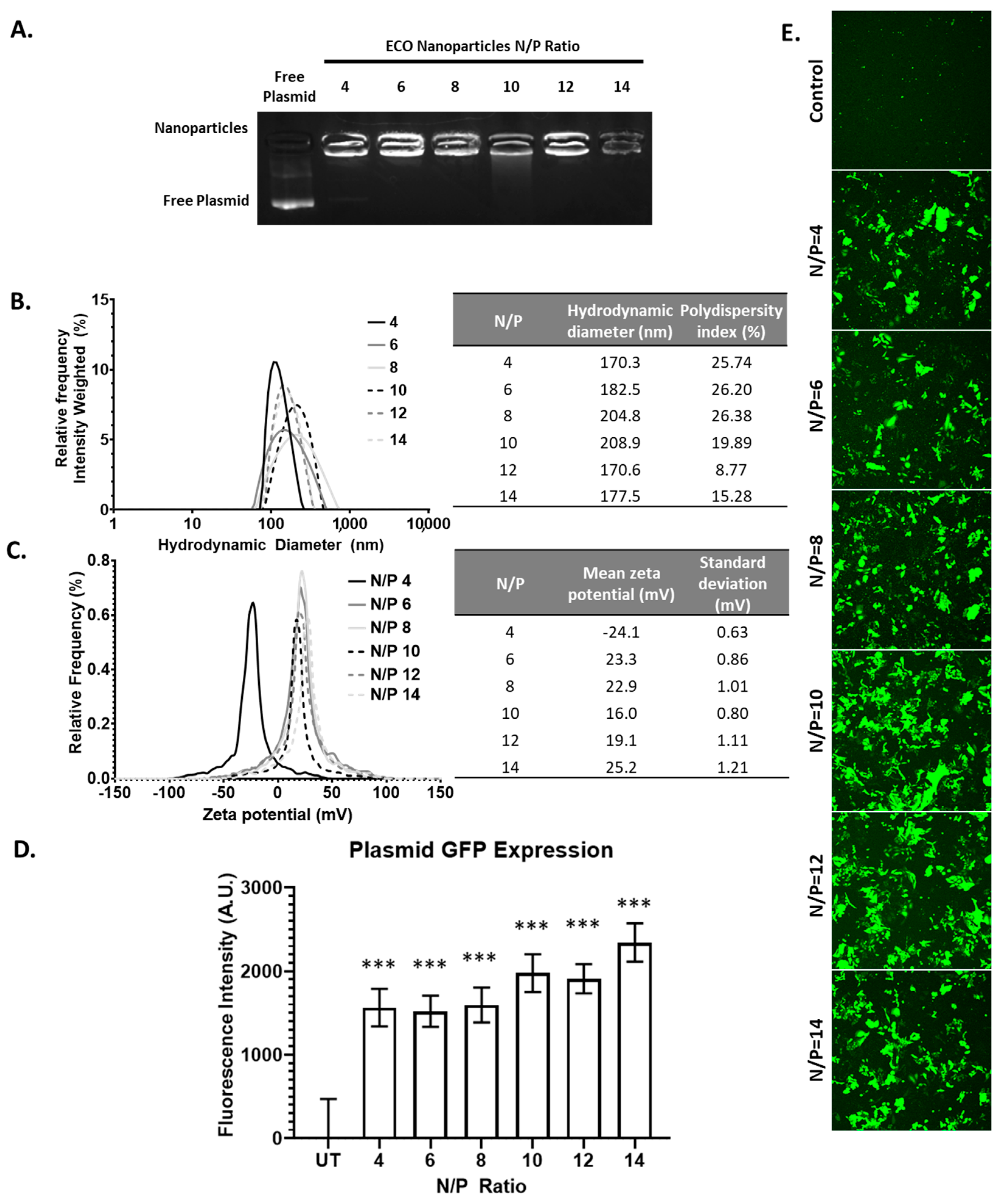 Pharmaceuticals 14 01016 g004