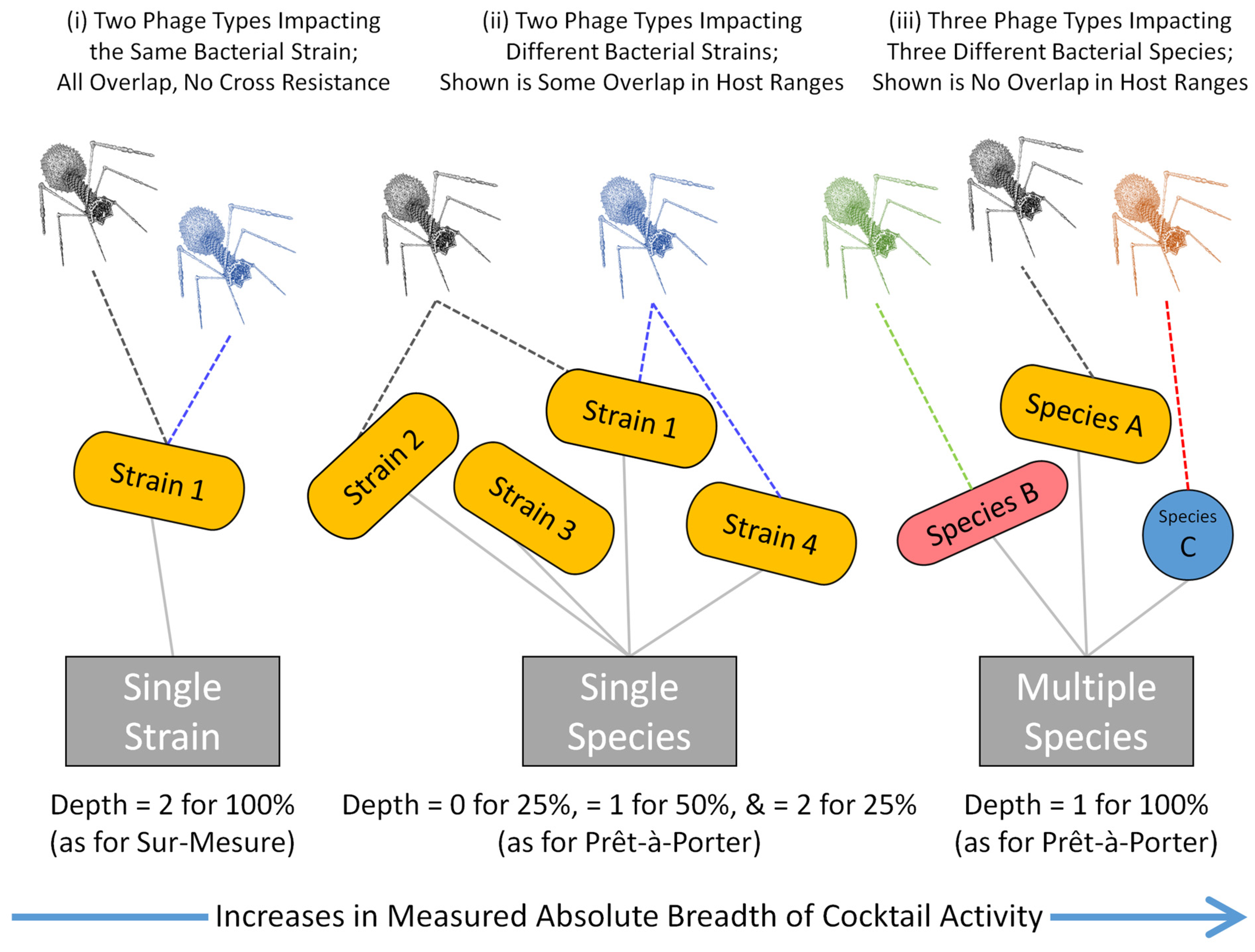 Pharmaceuticals 14 01019 g001