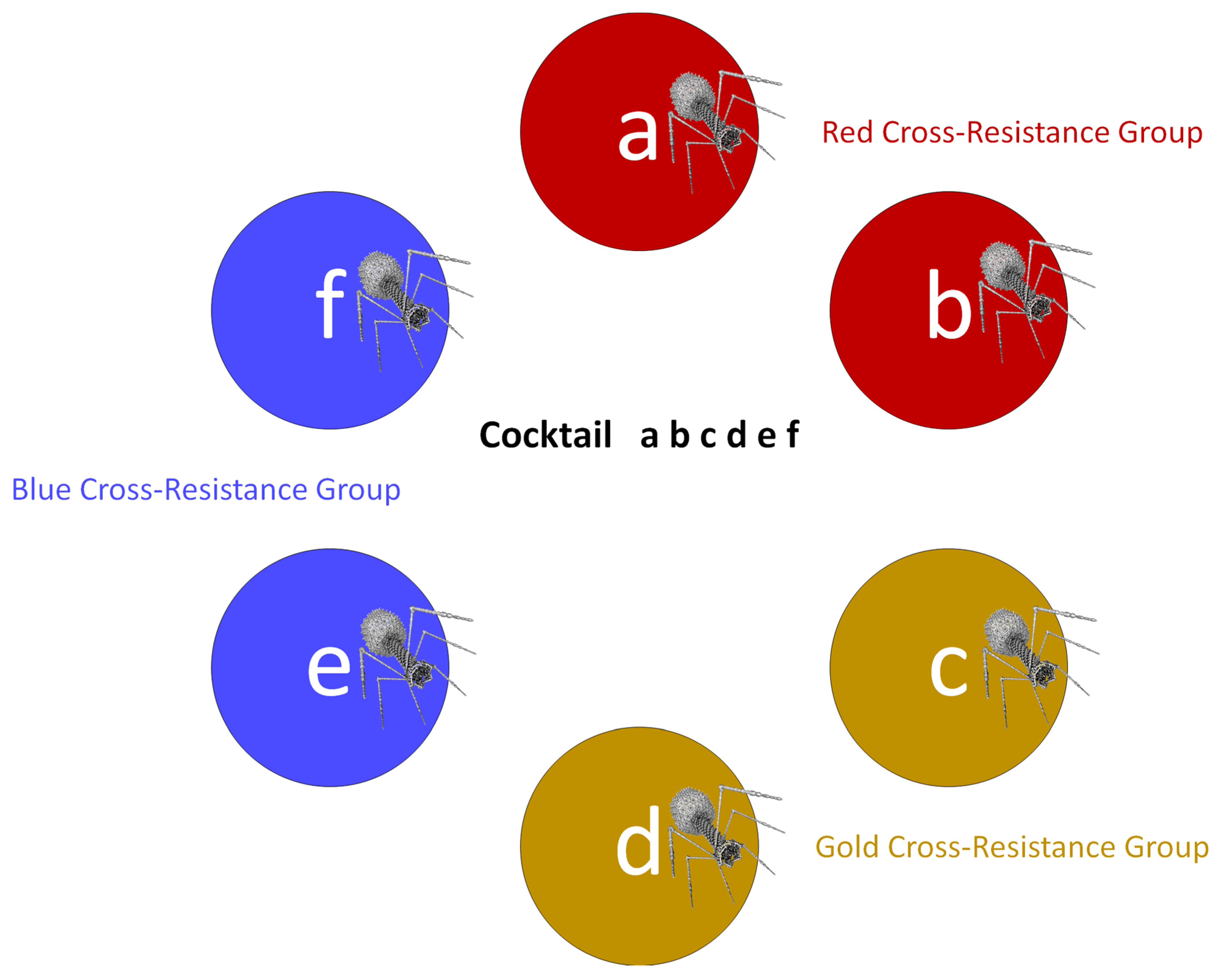 Pharmaceuticals 14 01019 g003