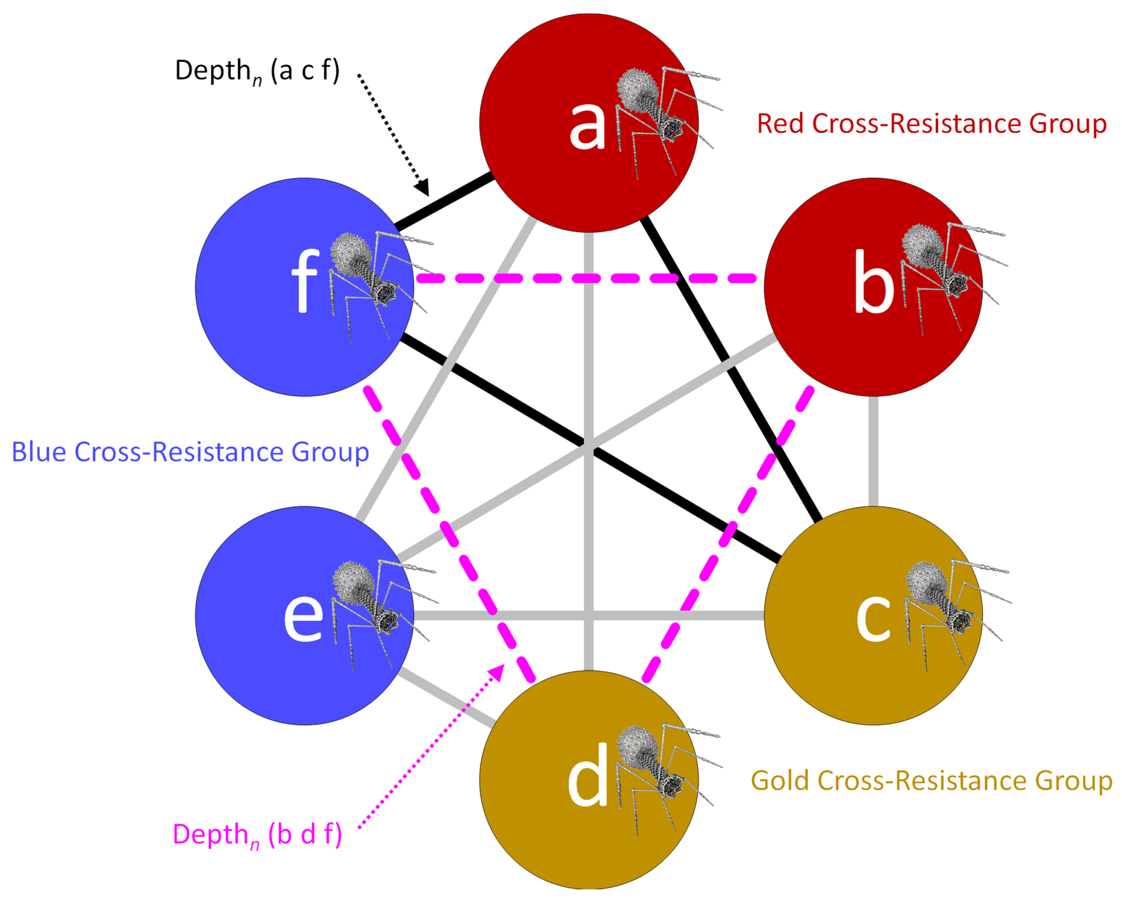 Pharmaceuticals 14 01019 g004