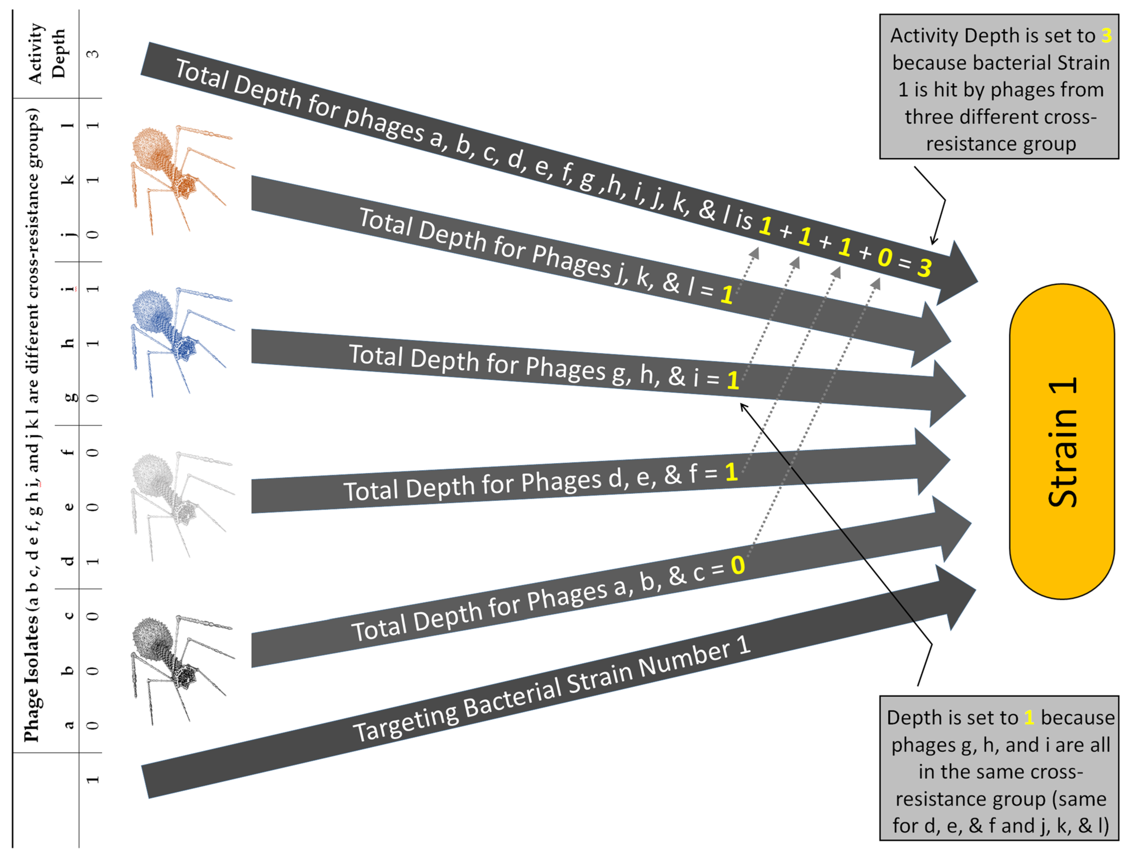 Pharmaceuticals 14 01019 g006