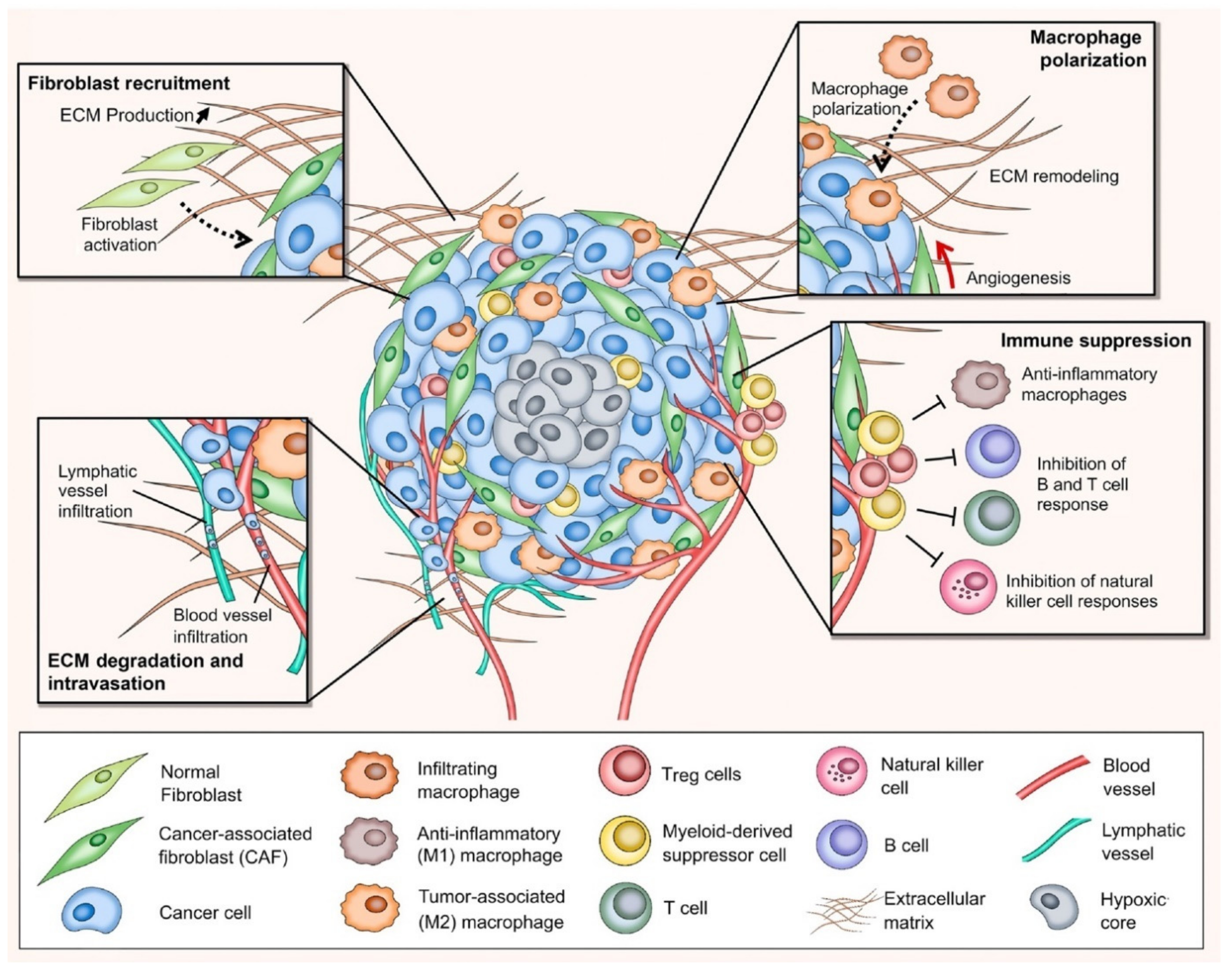 Pharmaceuticals 14 01023 g001