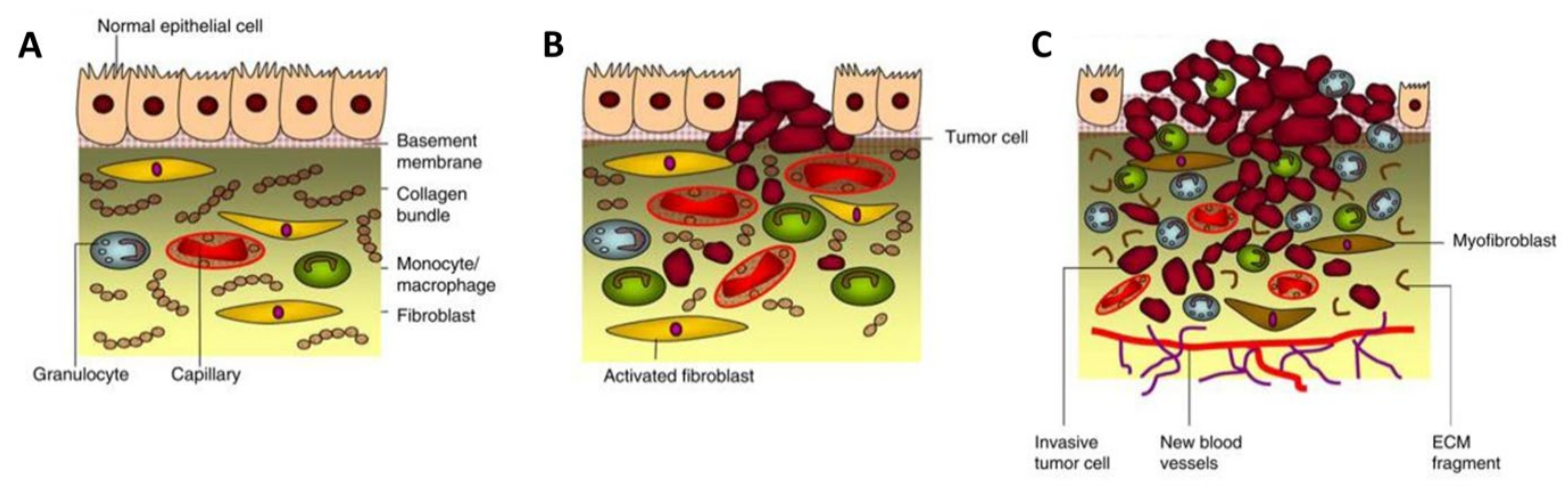 Pharmaceuticals 14 01023 g002