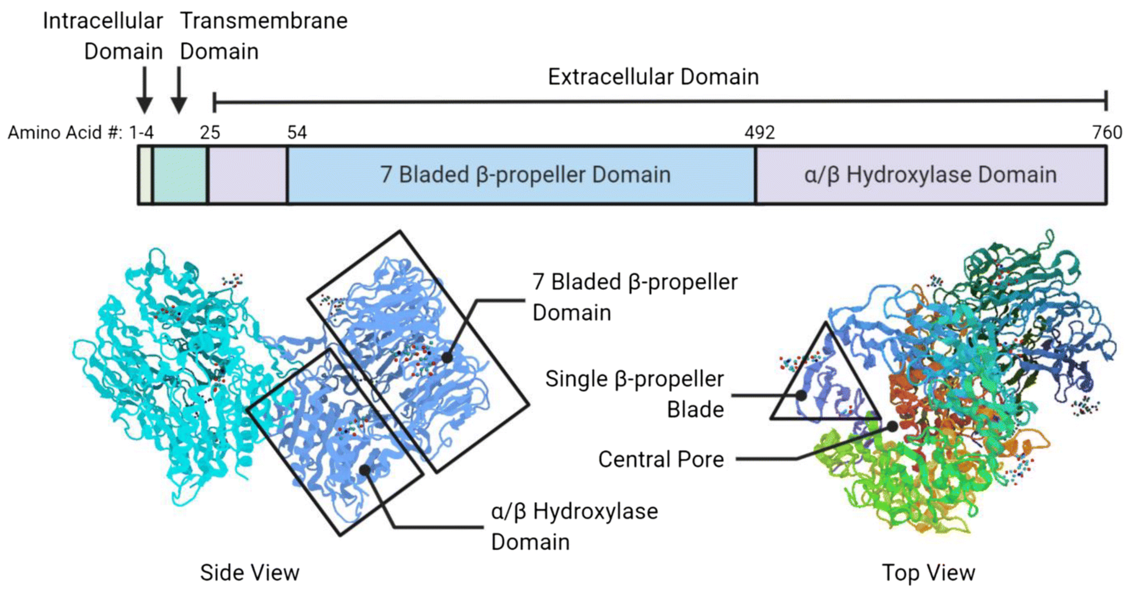 Pharmaceuticals 14 01023 g004