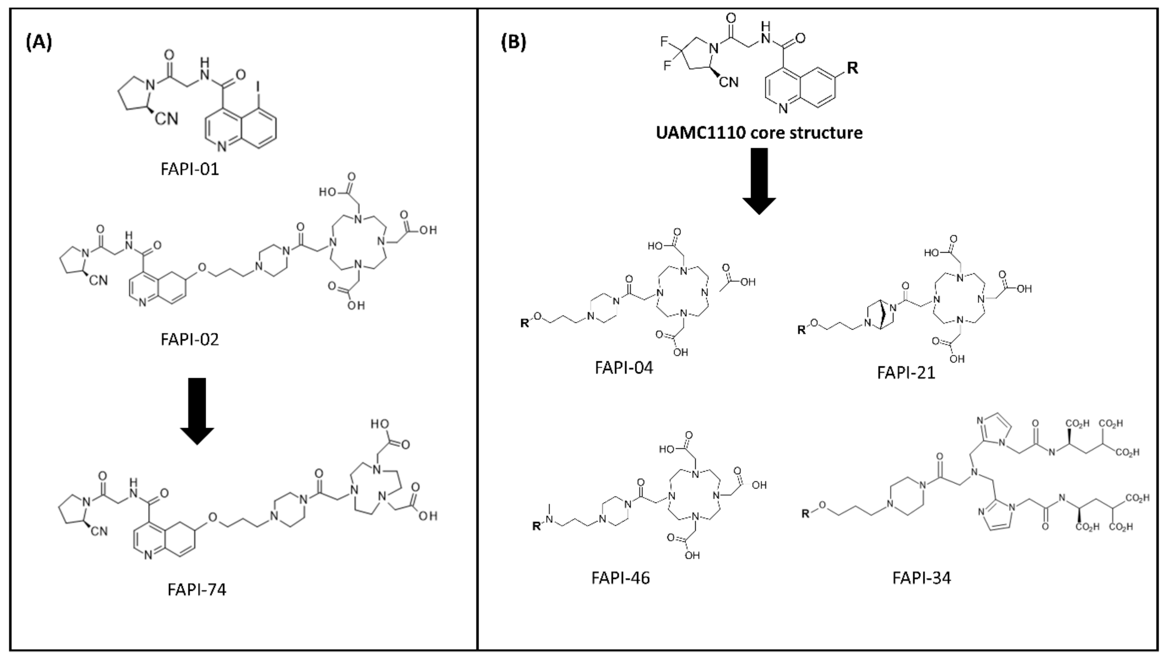 Pharmaceuticals 14 01023 g006