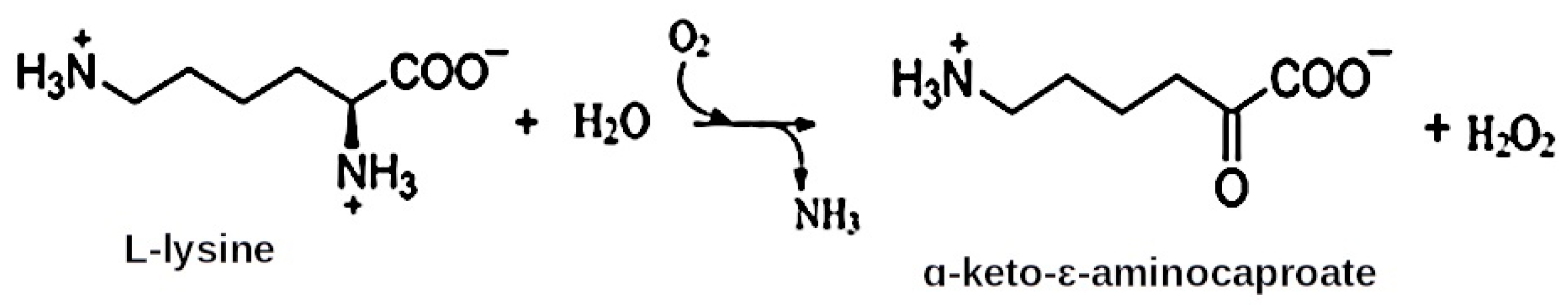 Pharmaceuticals 14 01070 g001