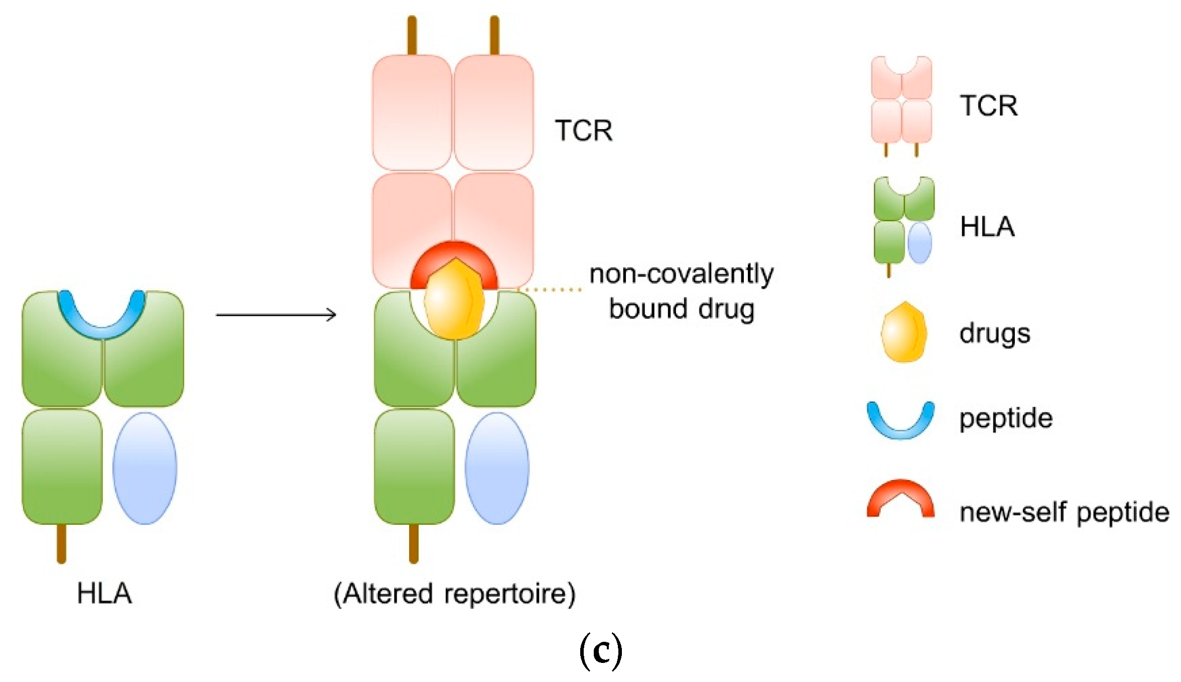 Pharmaceuticals 14 01077 g003b