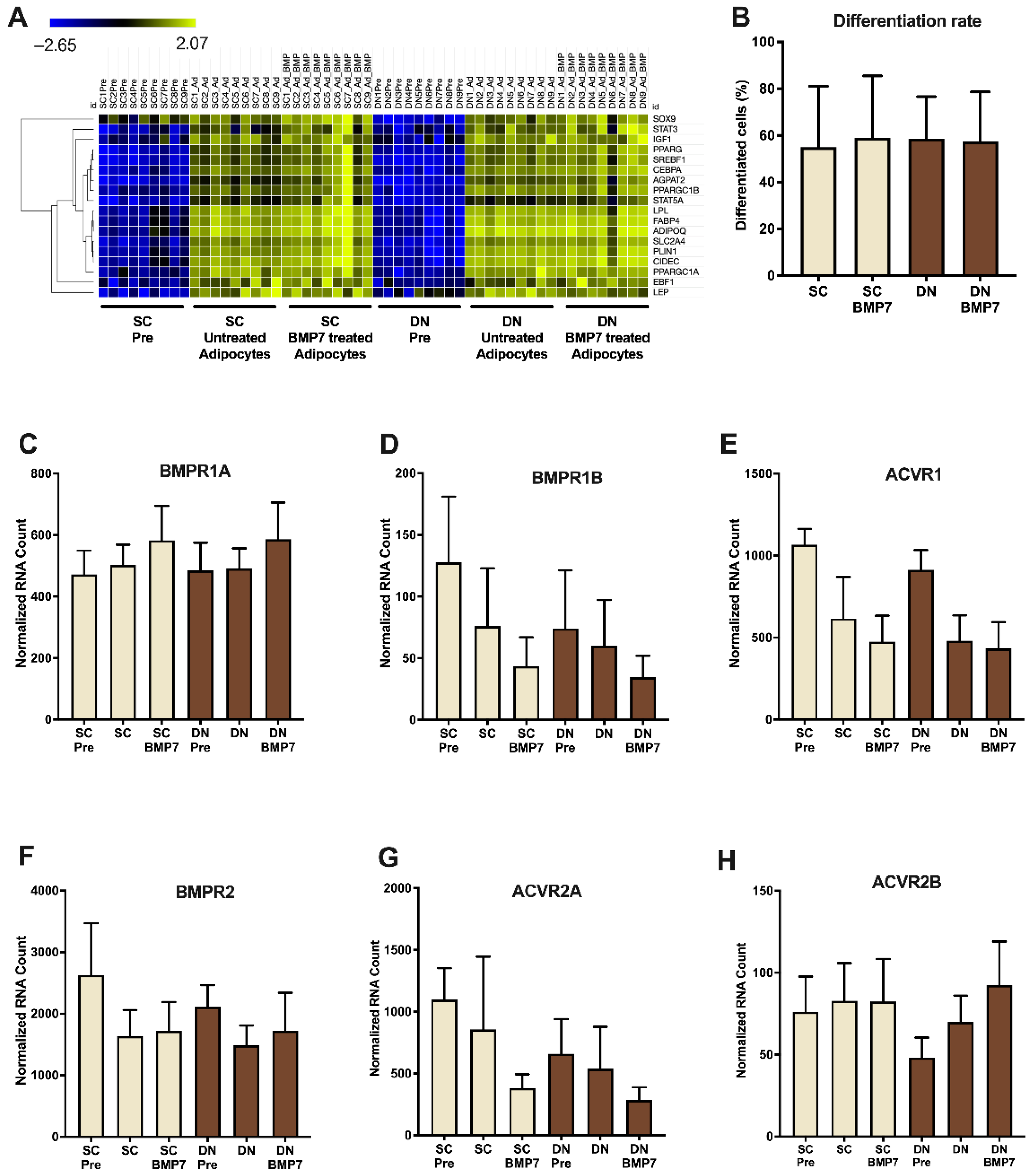 Pharmaceuticals 14 01078 g001