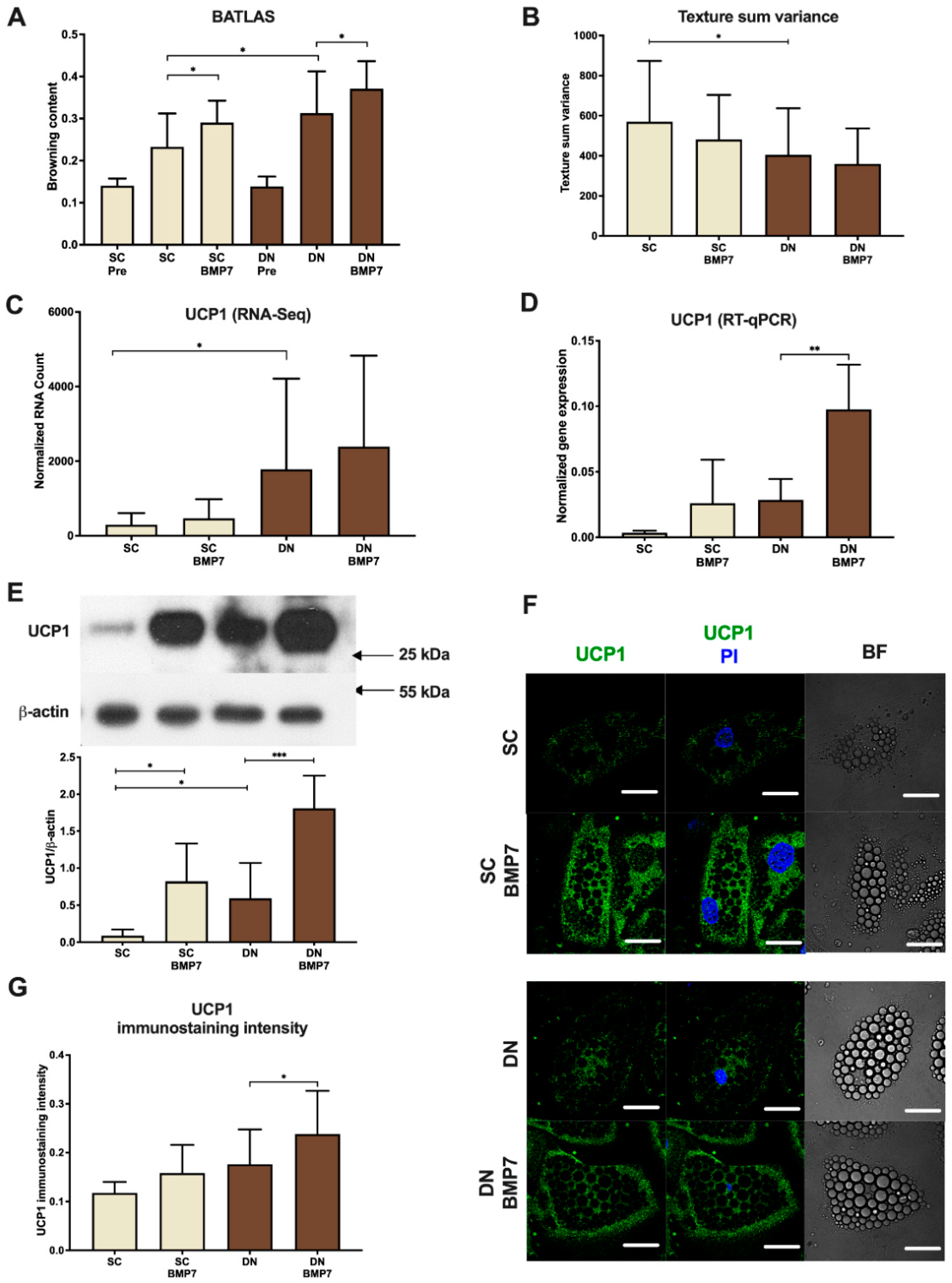 Pharmaceuticals 14 01078 g002