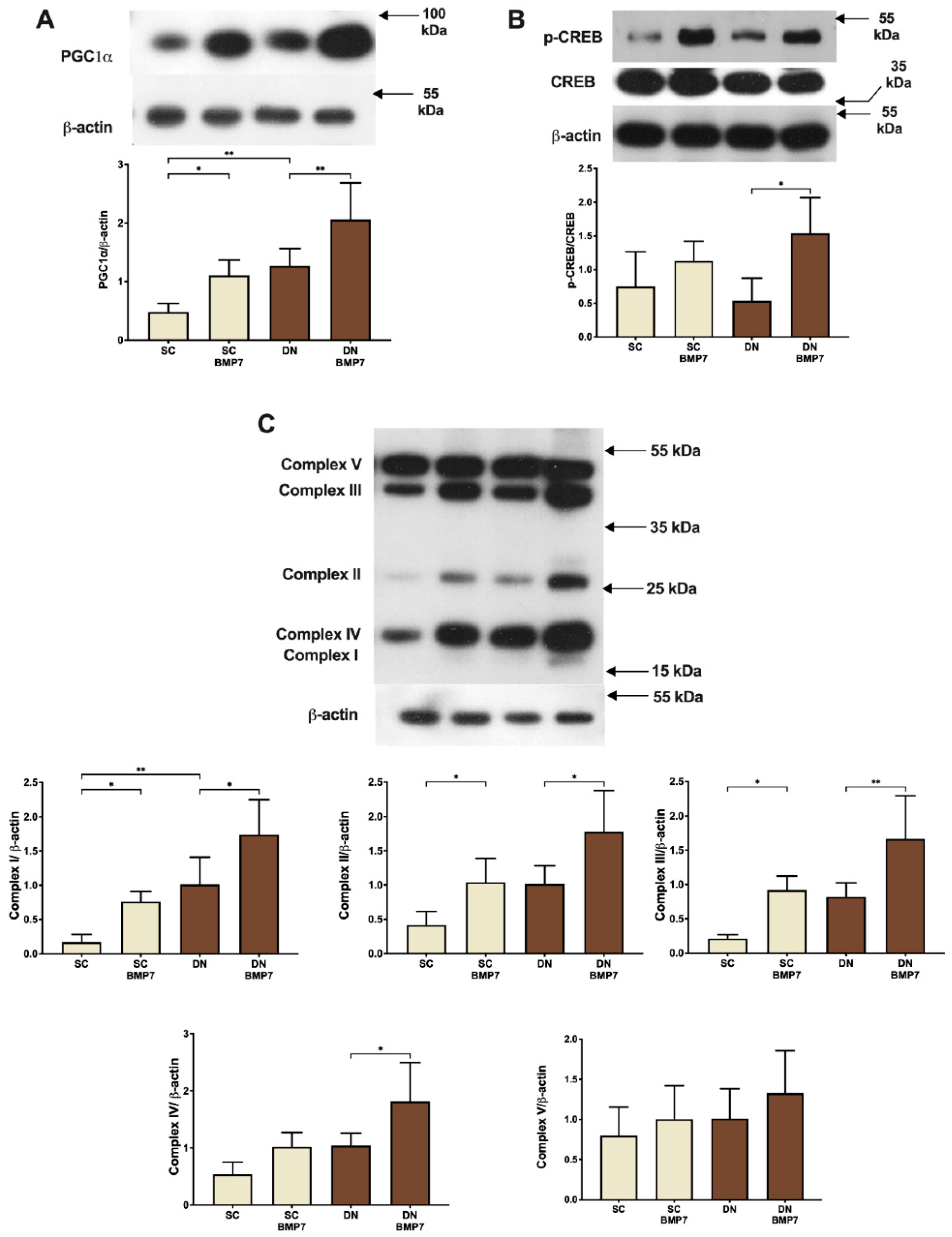 Pharmaceuticals 14 01078 g003
