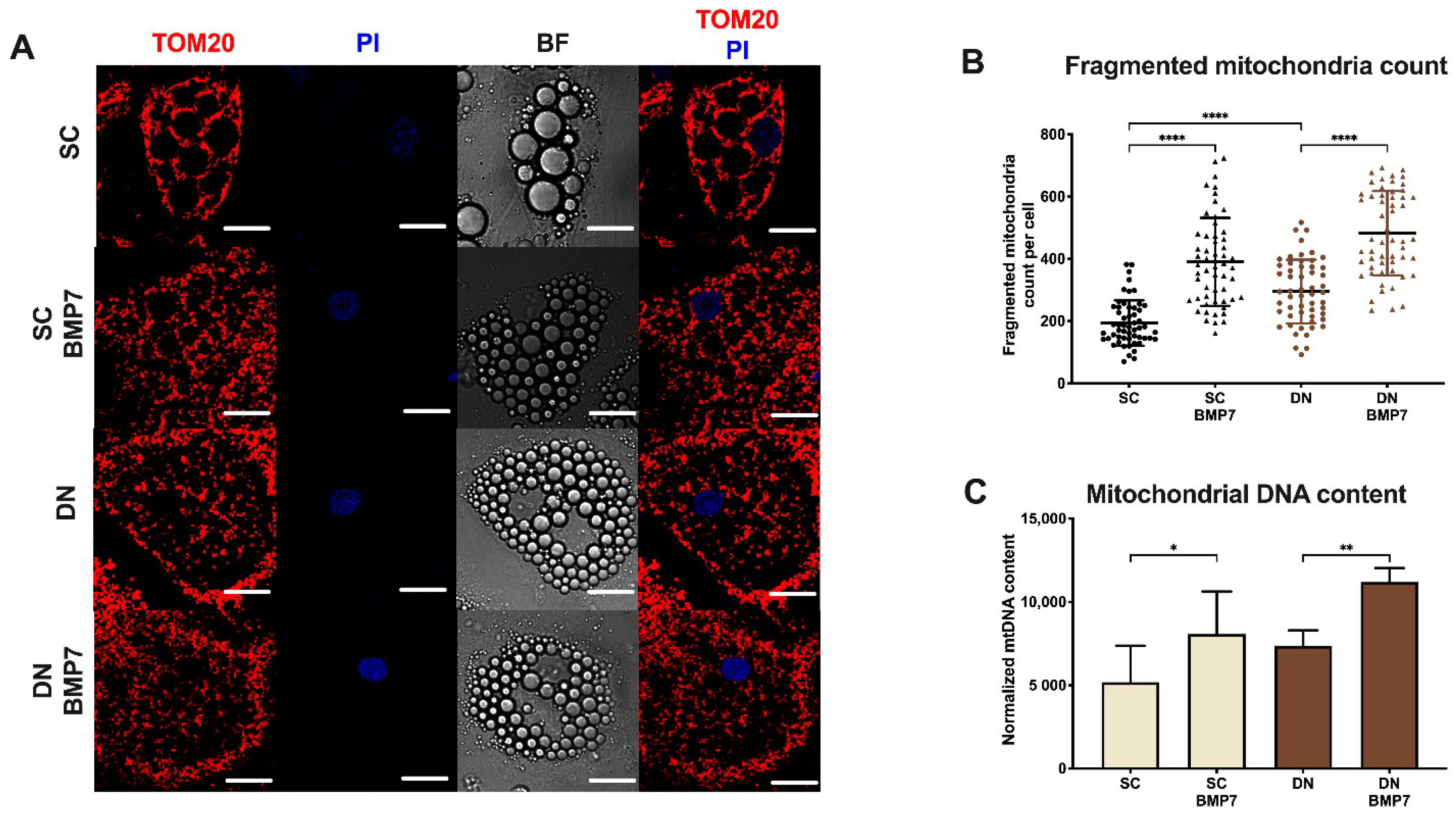 Pharmaceuticals 14 01078 g004