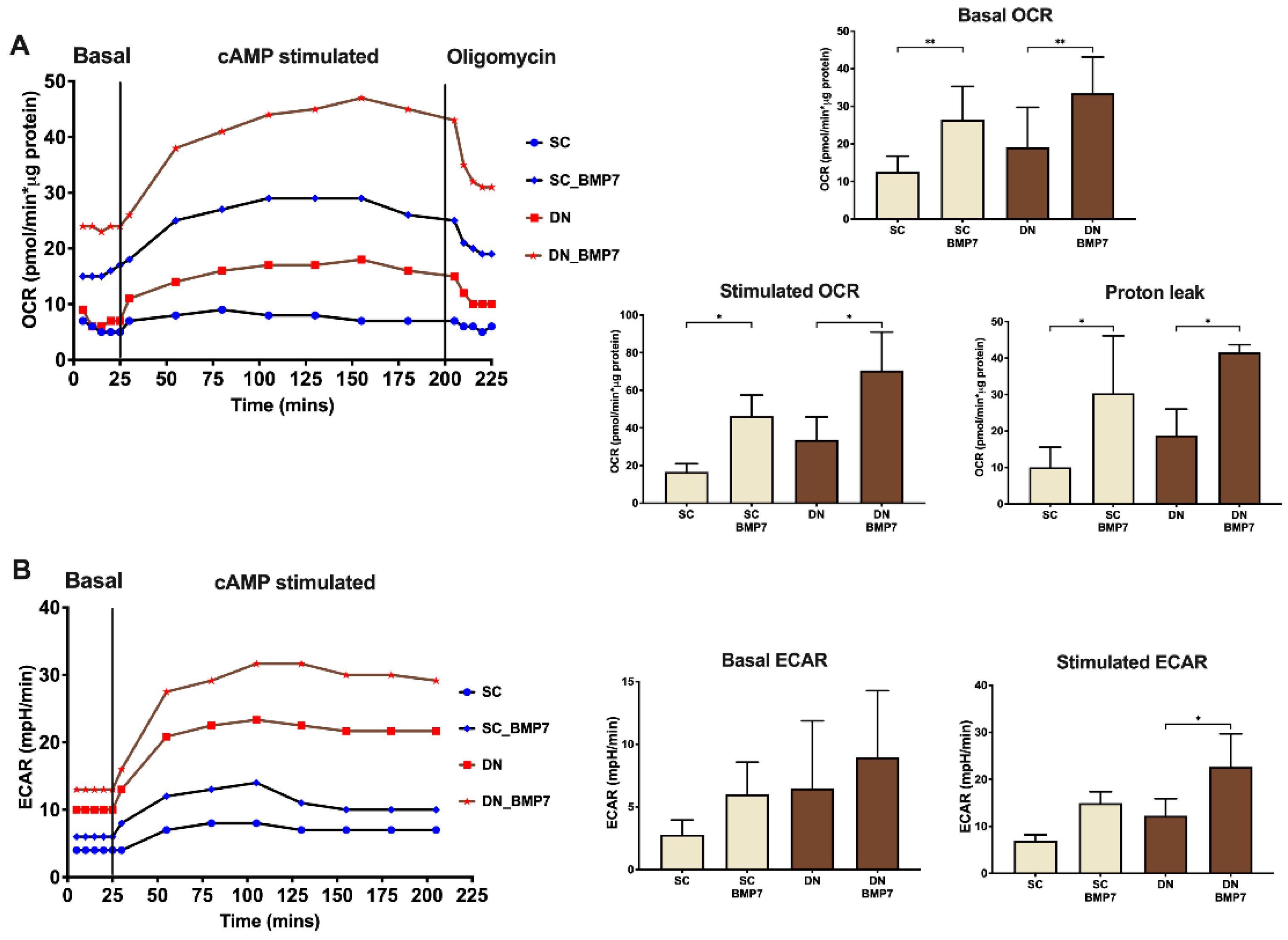 Pharmaceuticals 14 01078 g005