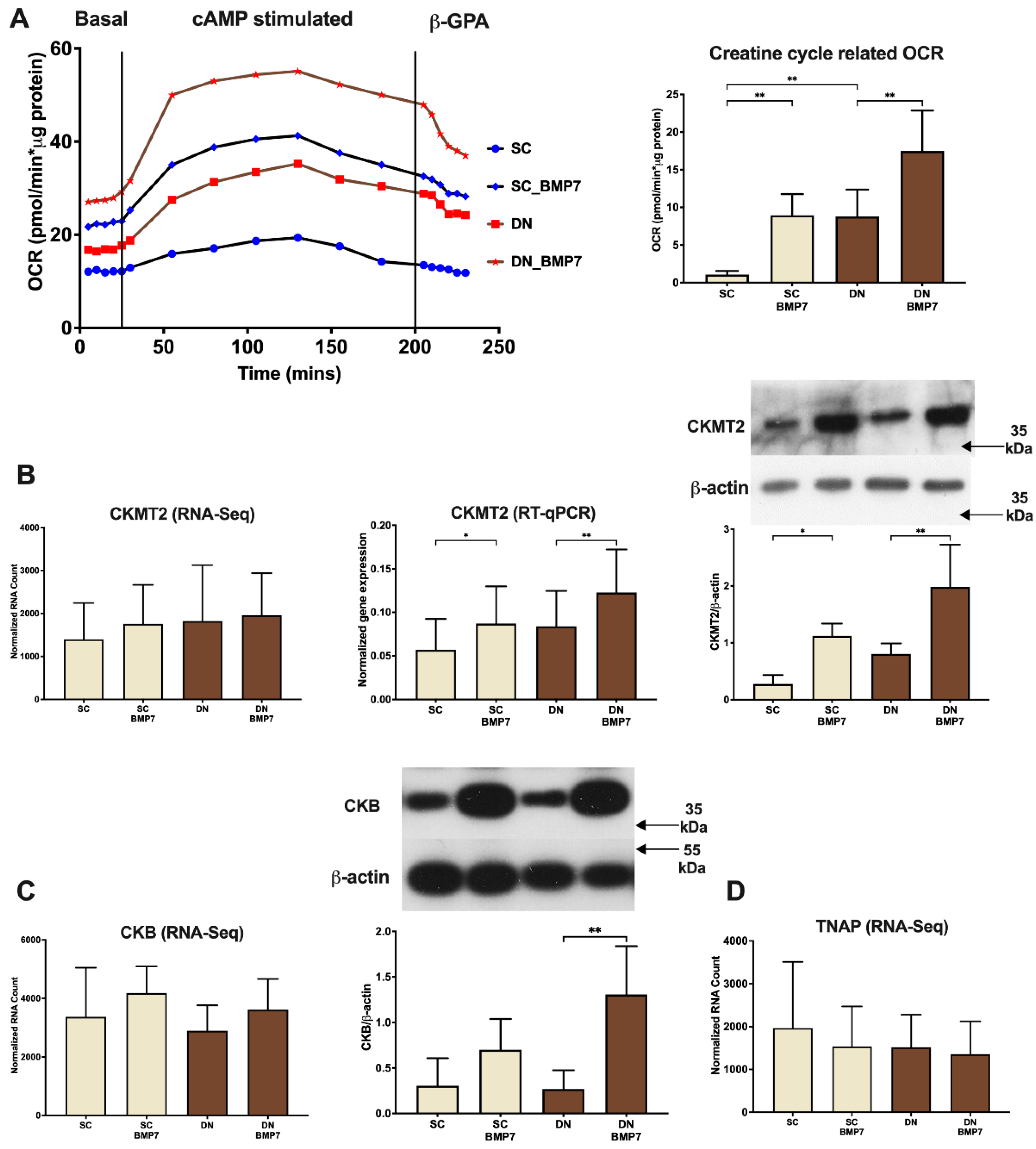 Pharmaceuticals 14 01078 g006