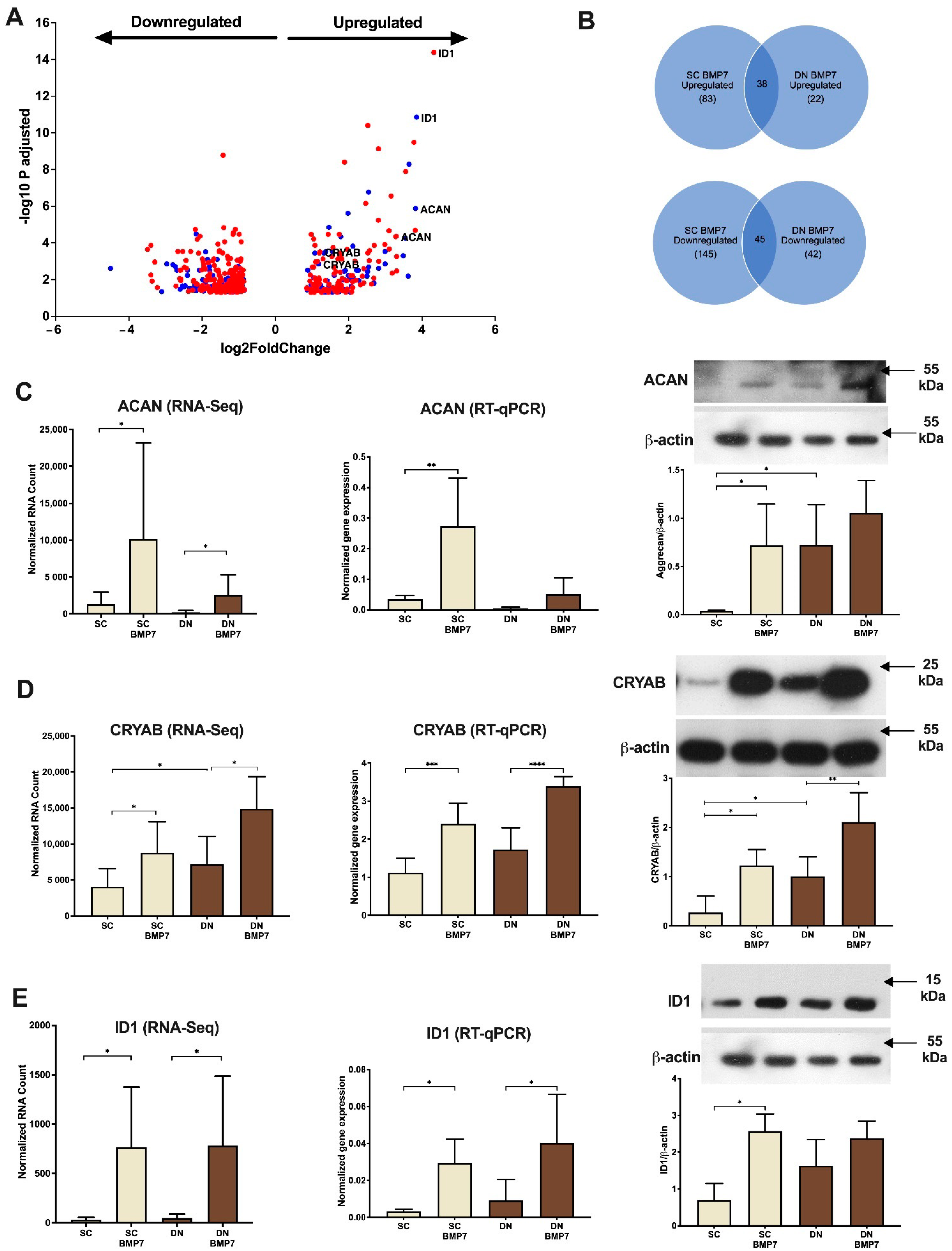 Pharmaceuticals 14 01078 g007