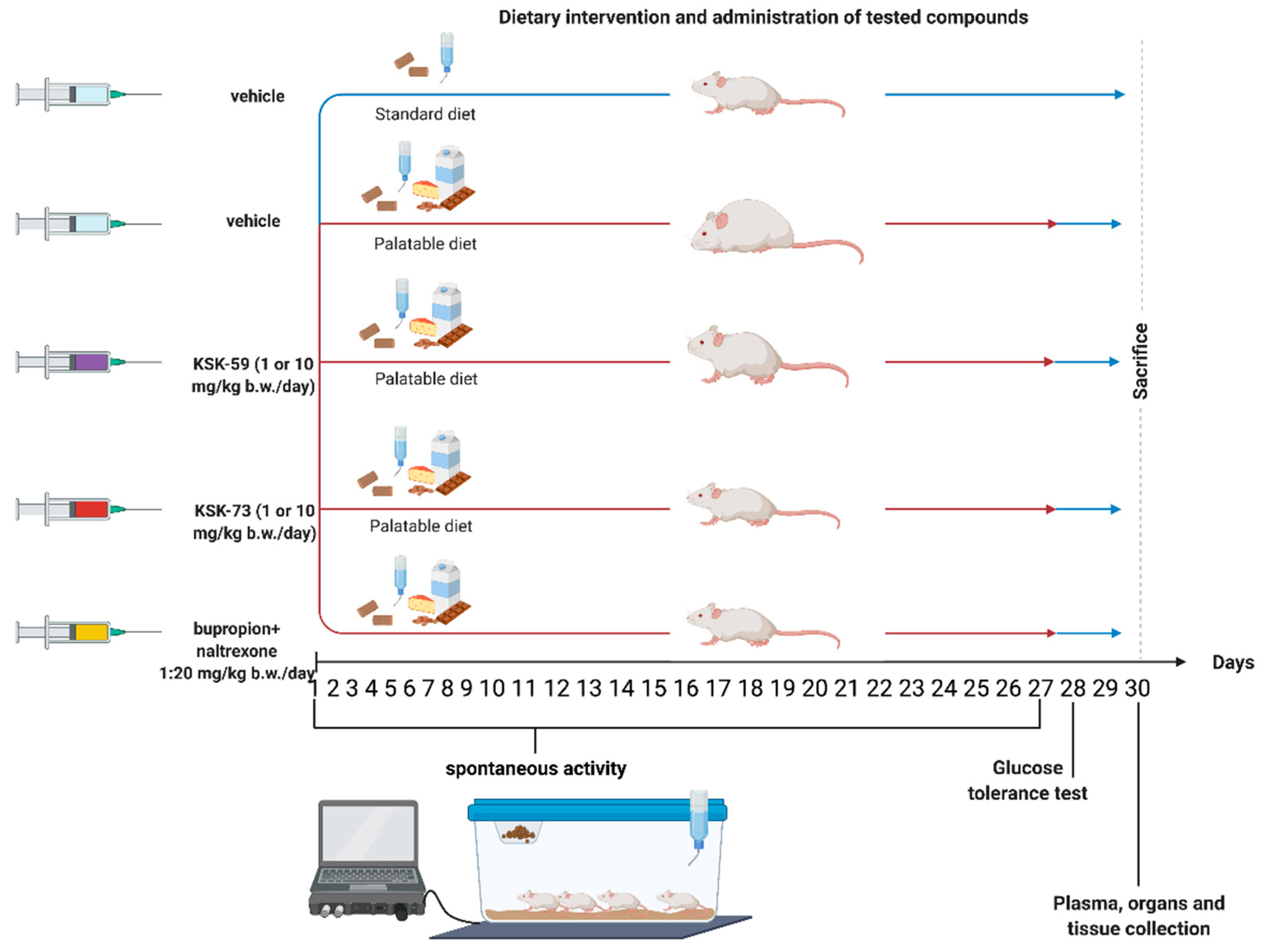Pharmaceuticals 14 01080 g011