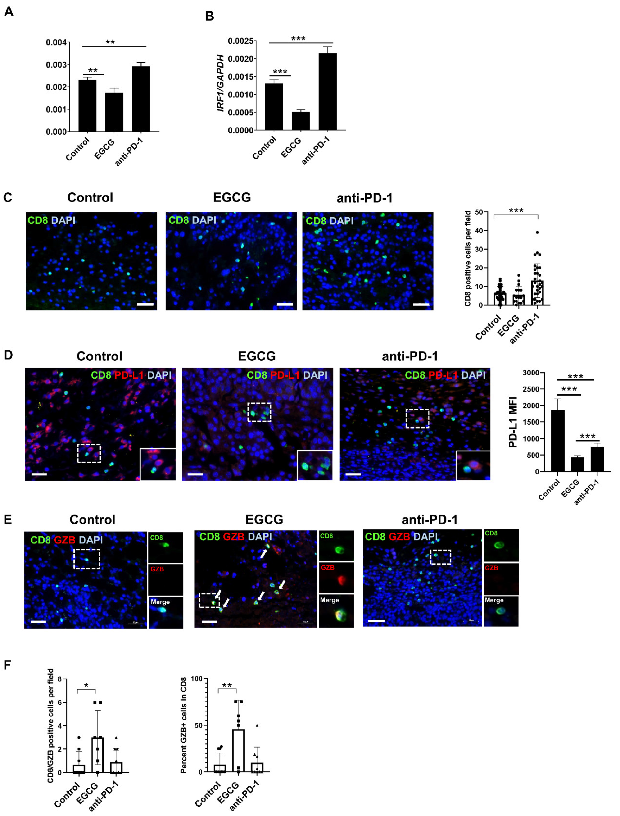 Pharmaceuticals 14 01081 g004