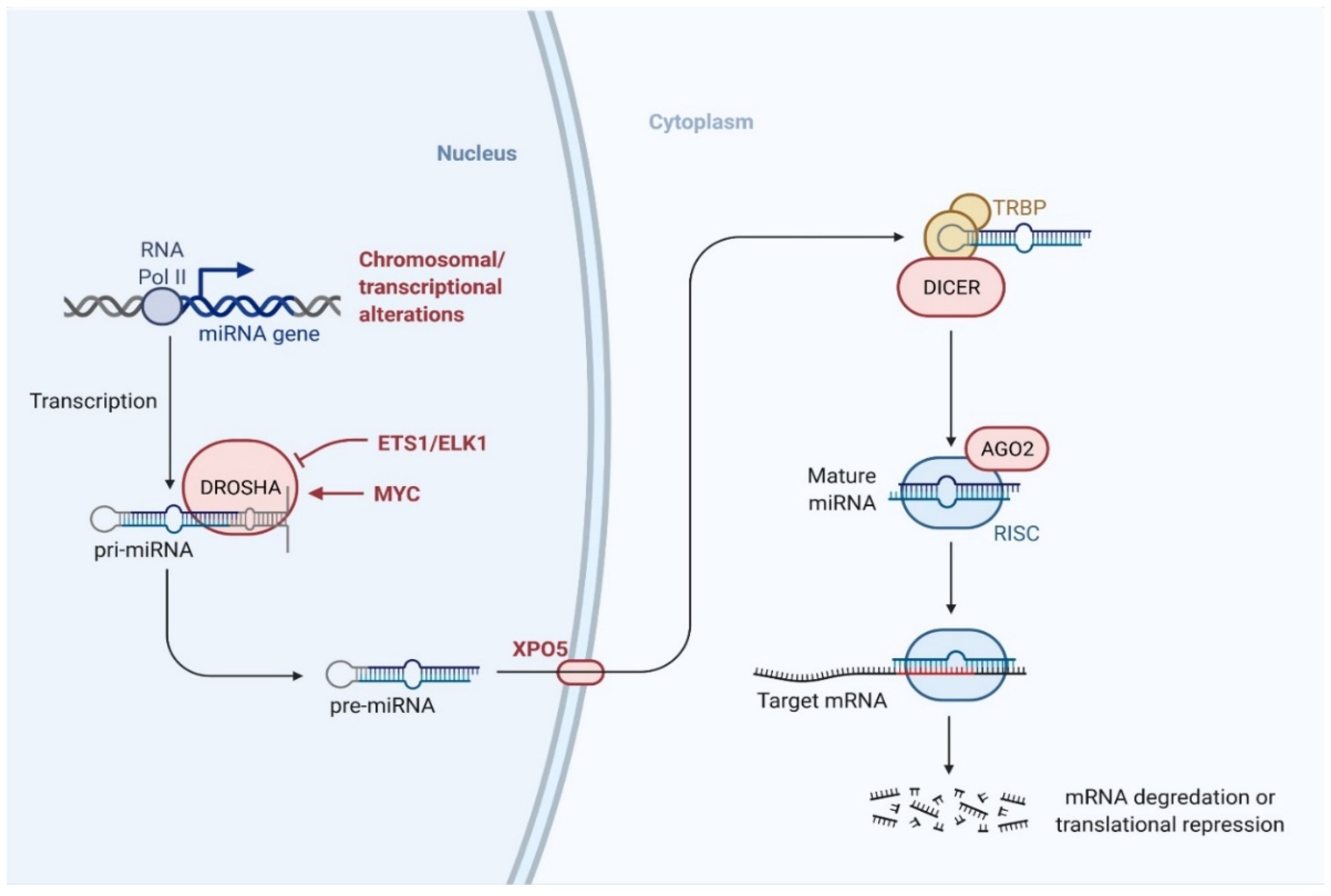 Pharmaceuticals 14 01093 g002