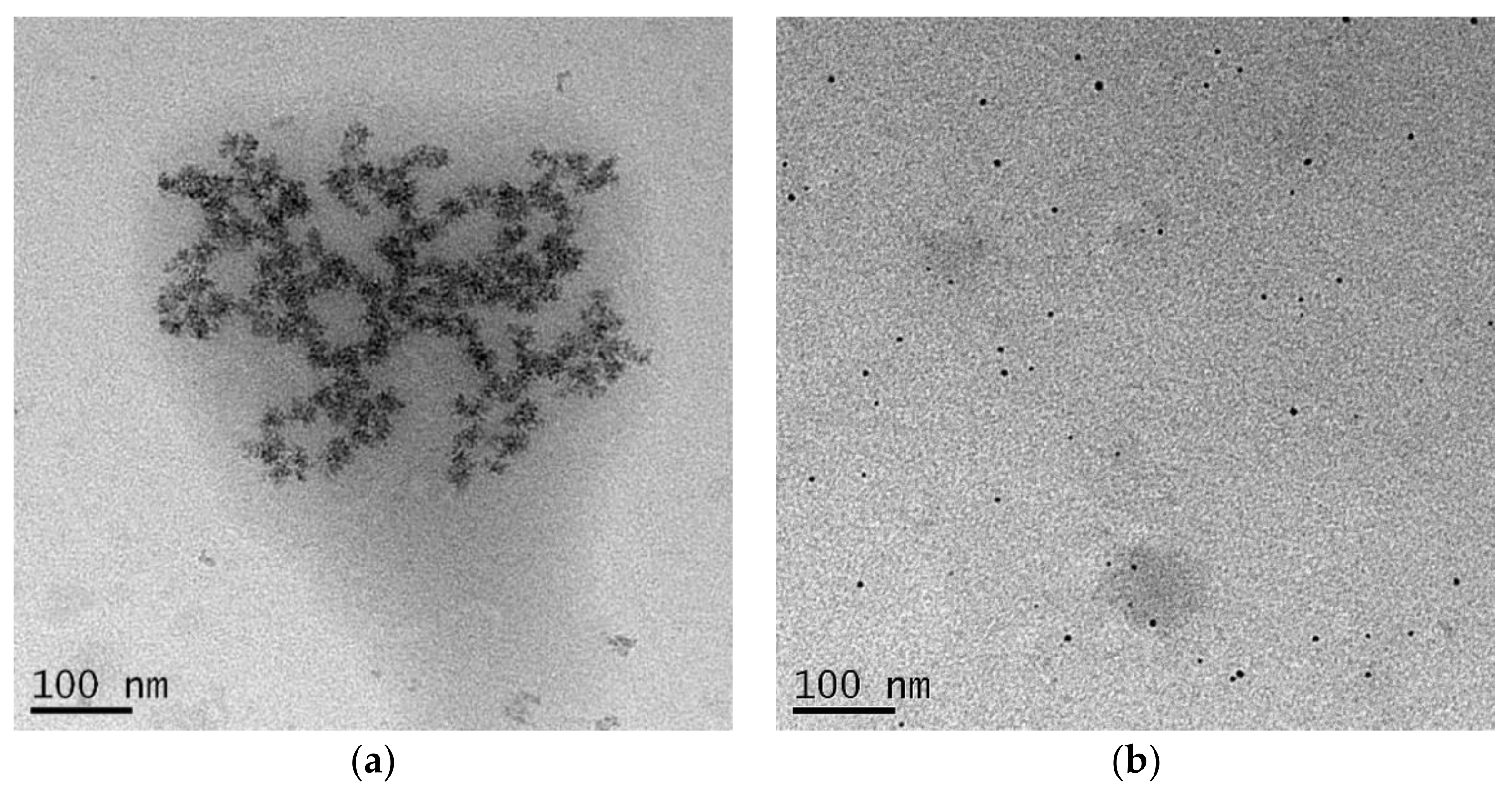 Pharmaceuticals 14 01094 g003