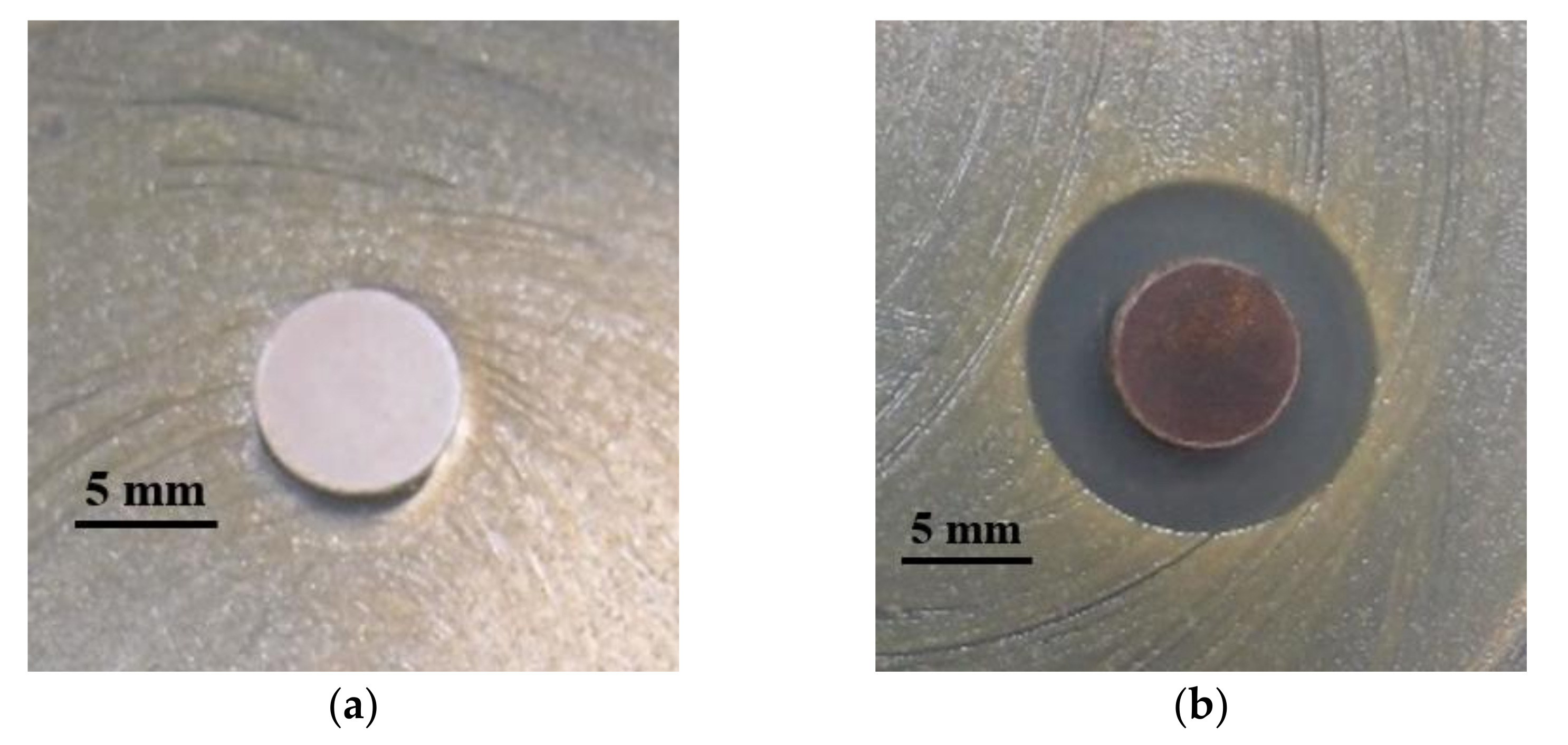 Pharmaceuticals 14 01094 g006