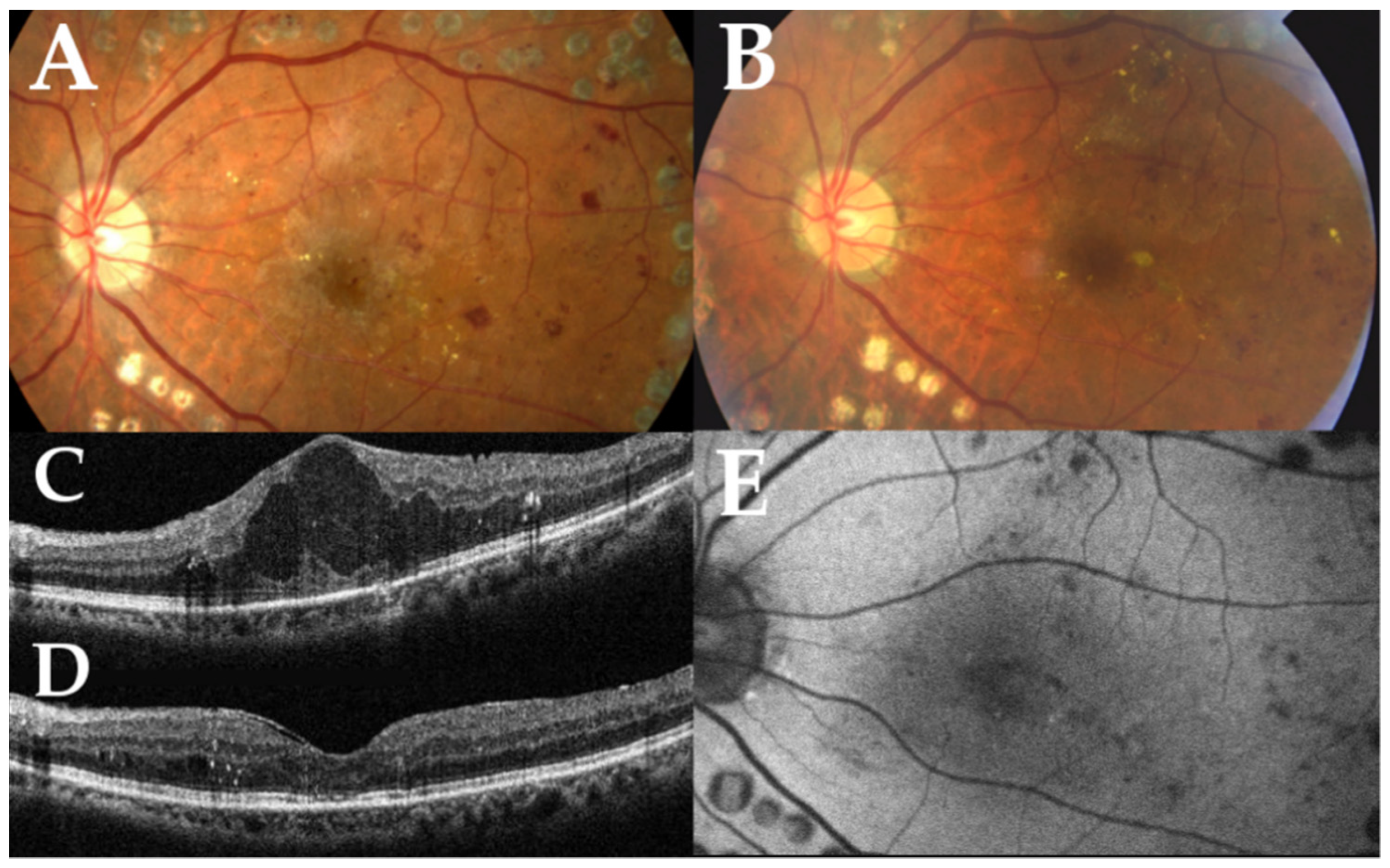 Pharmaceuticals 14 01100 g001