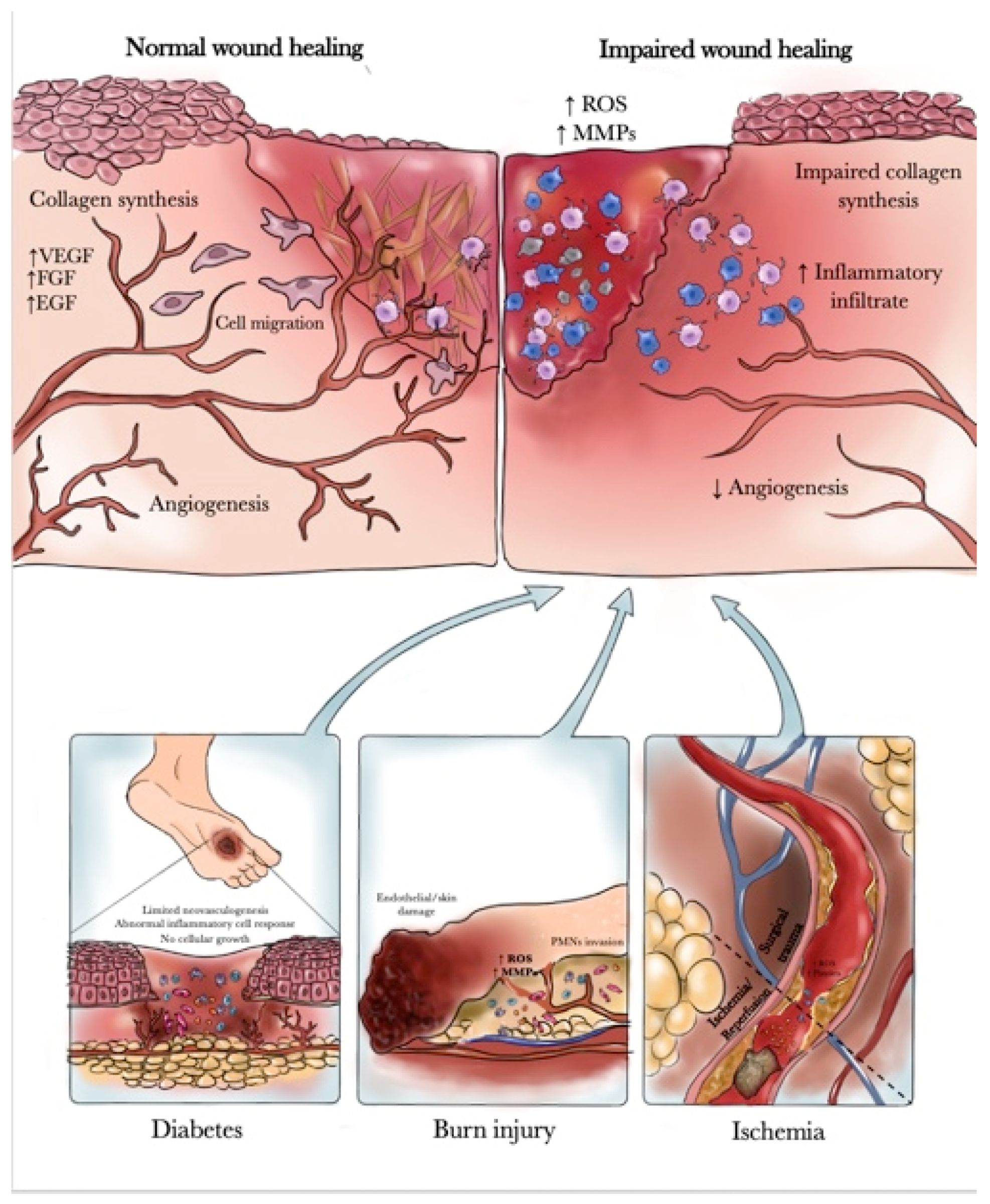 Pharmaceuticals 14 01103 g001