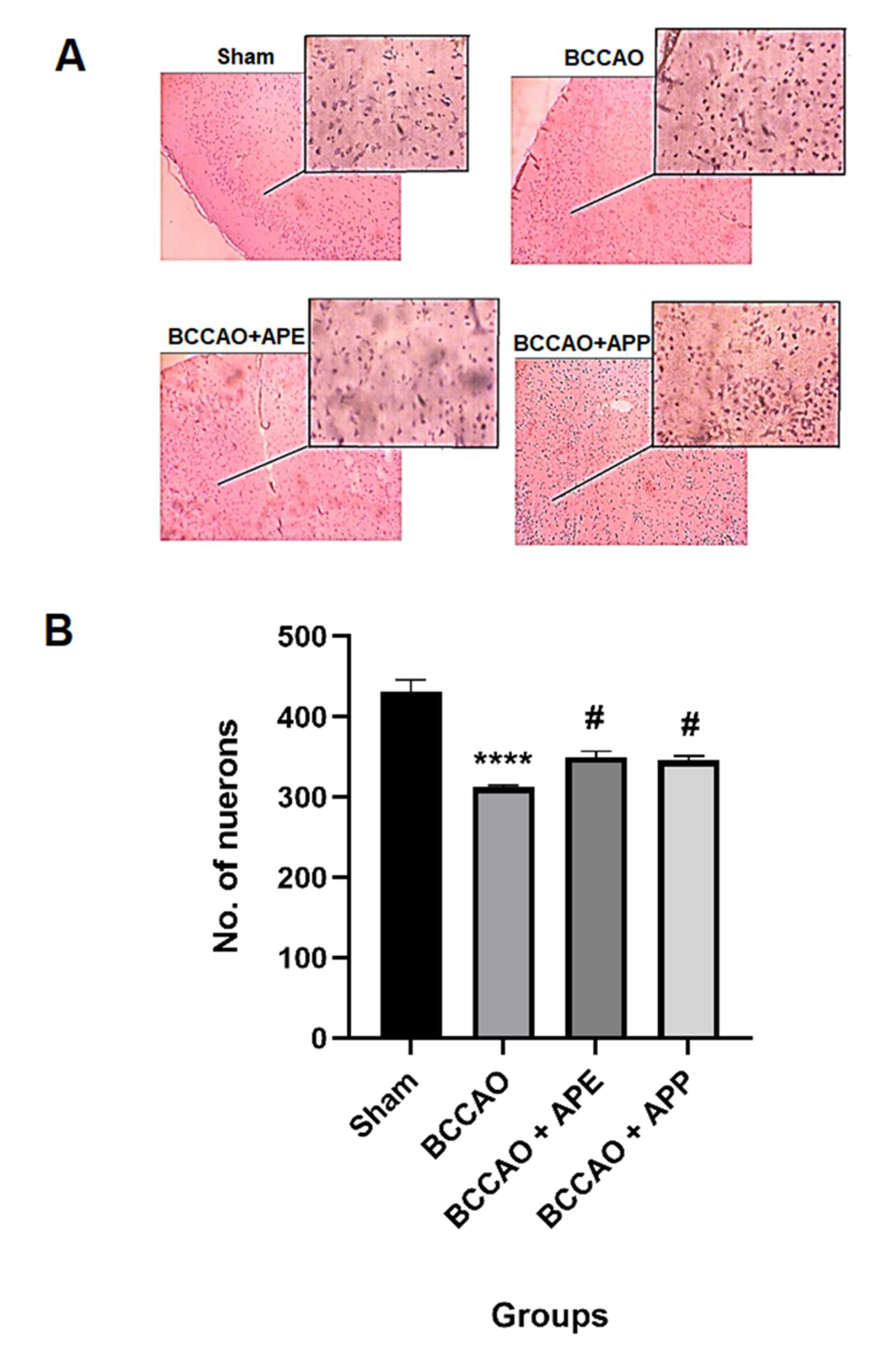 Pharmaceuticals 14 01106 g004